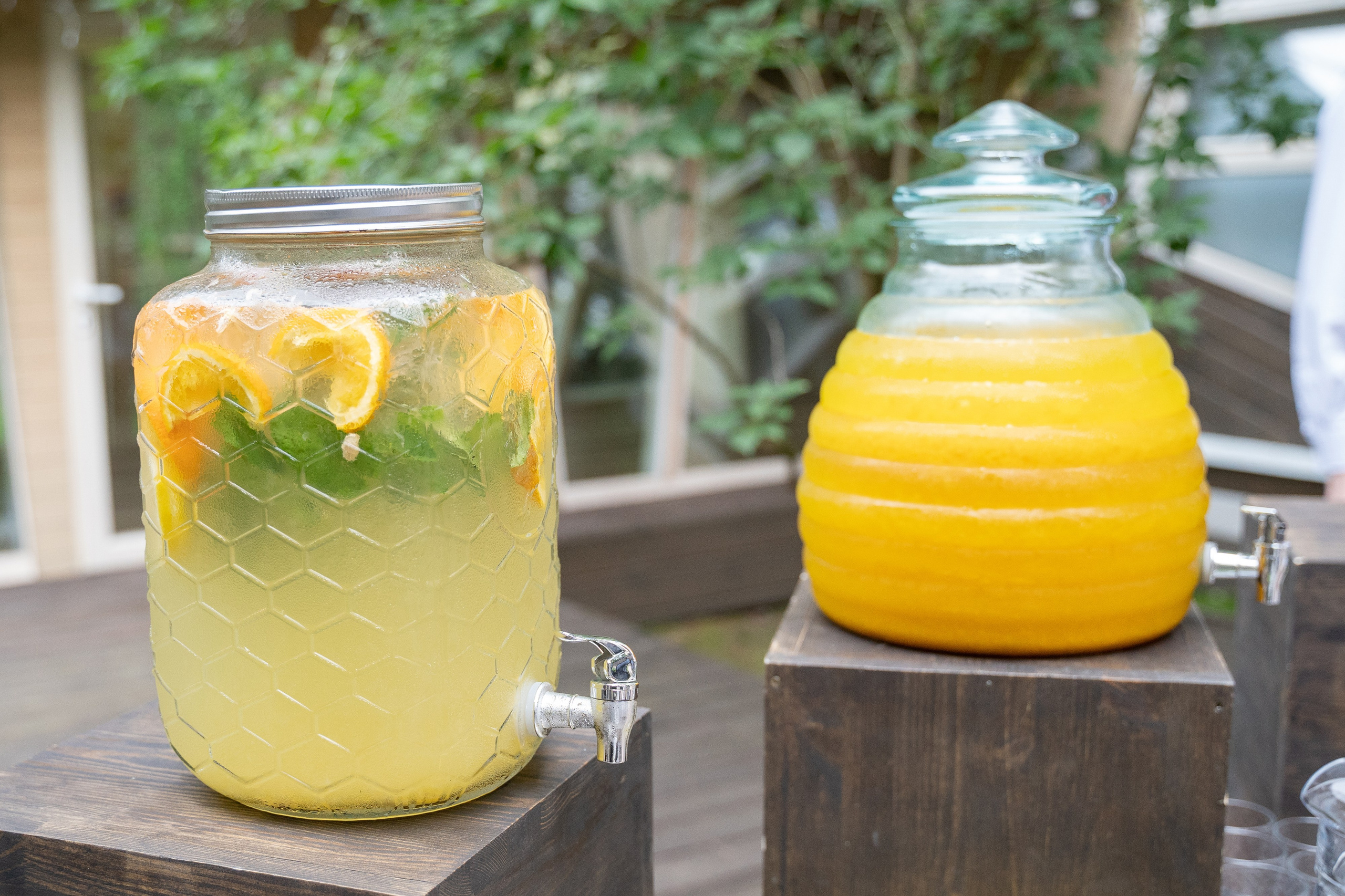 Дмитрий и Вика. Архив