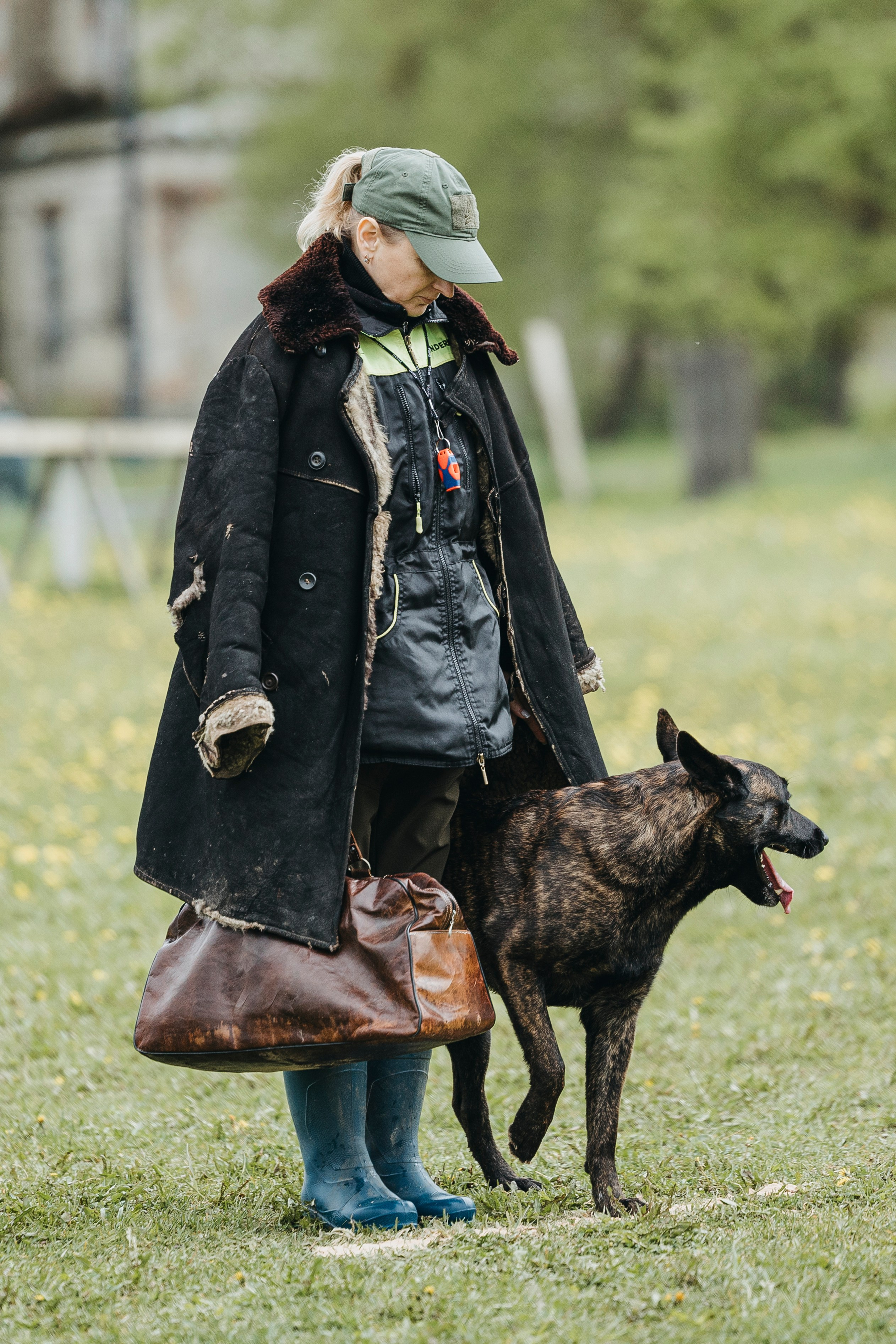 26.05.25 г. Пушкин квалификационные соревнования. Фотограф-анималист Анна Маринич