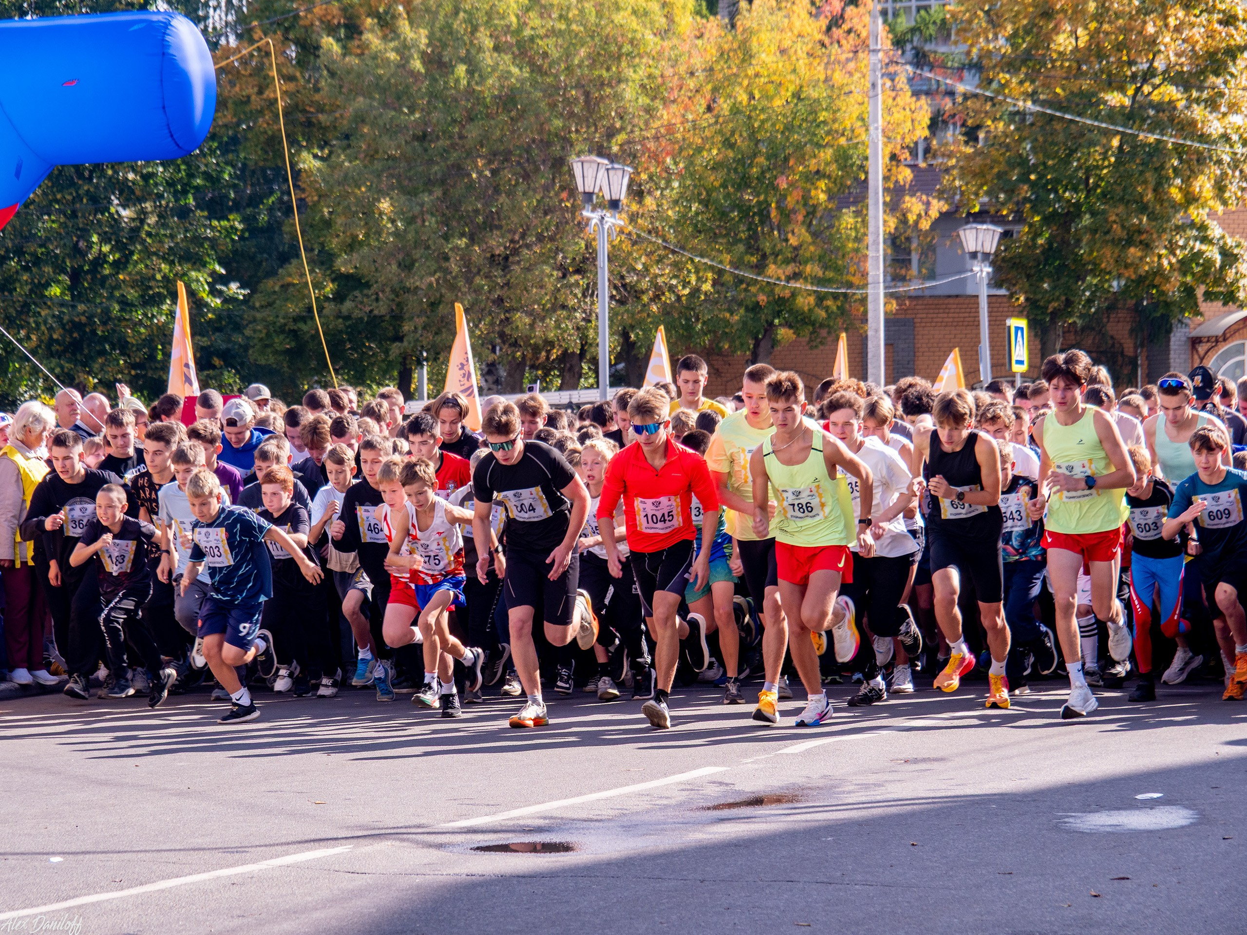 Кросс нации 25. Муром-Инфо. Новости культуры, образования, спорта в городе Муром