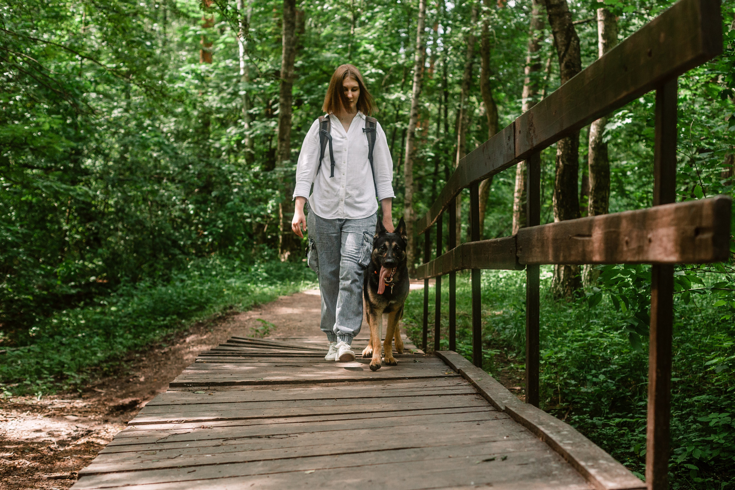 Лесная летняя фотопрогулка. Фотограф-анималист Татьяна Степанова