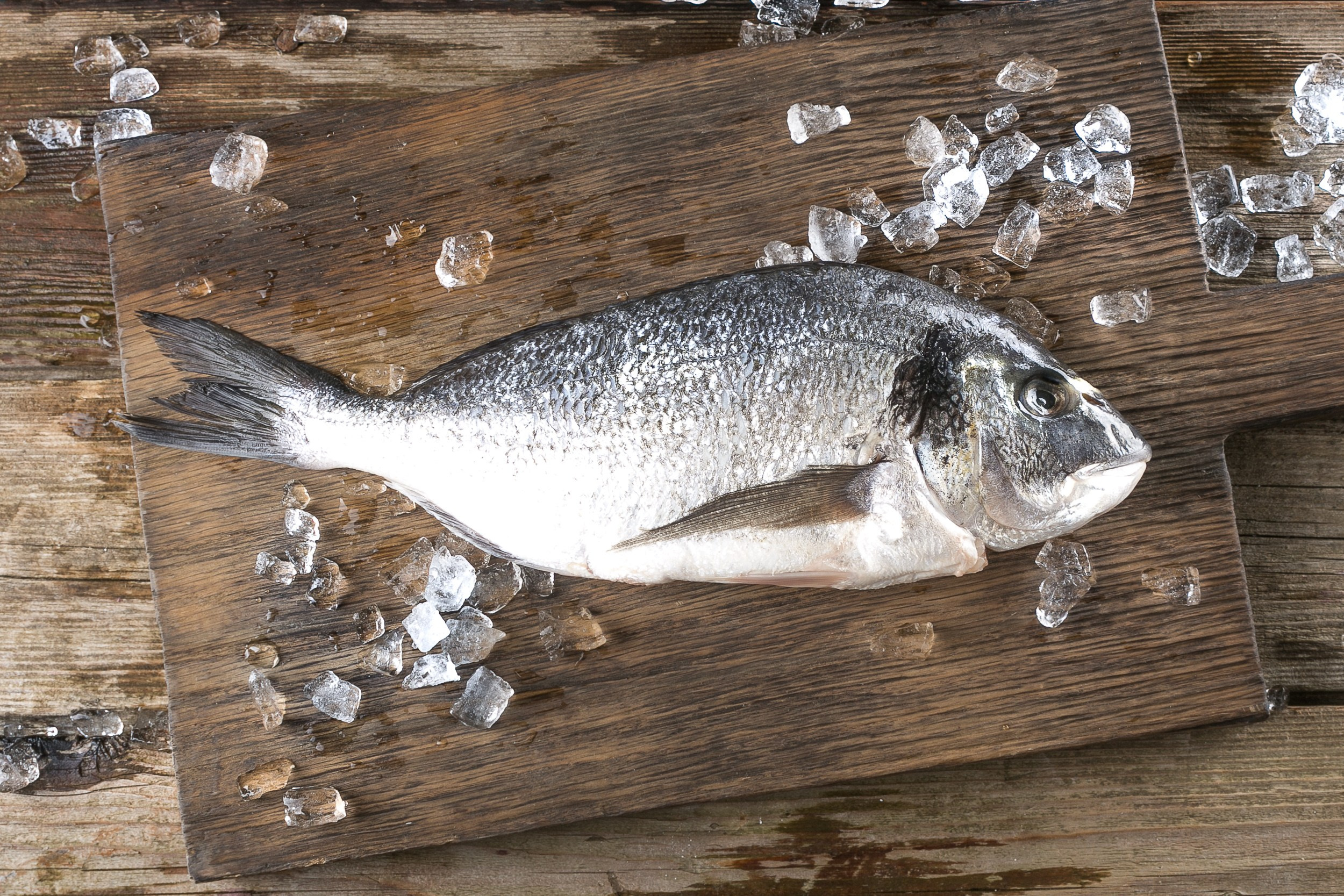 Каталоги продуктов. Фотограф Андрей Величко