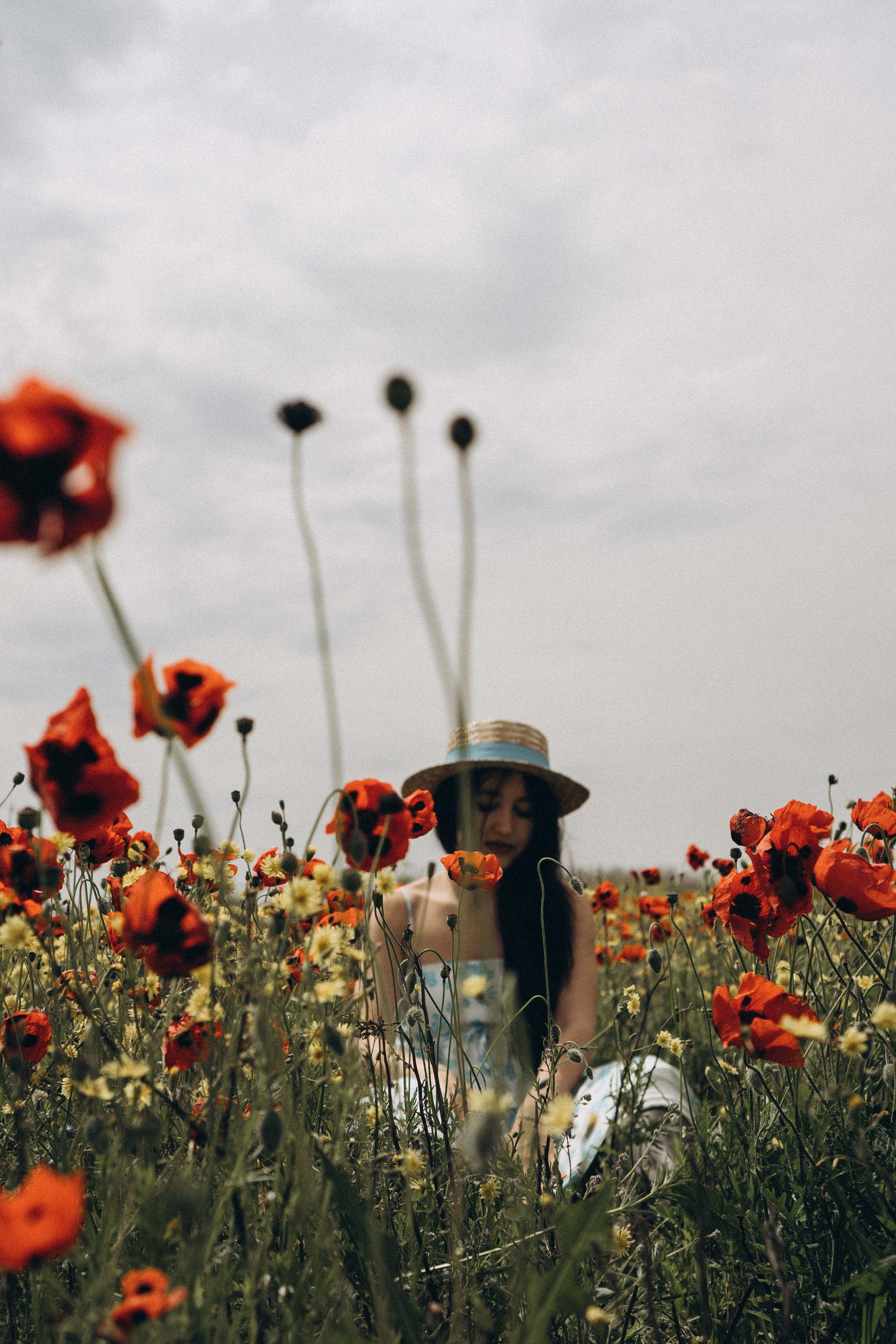 Цветочная поляна. Профессиональный фотограф, Санкт-Петербург — Виктория Богомолова