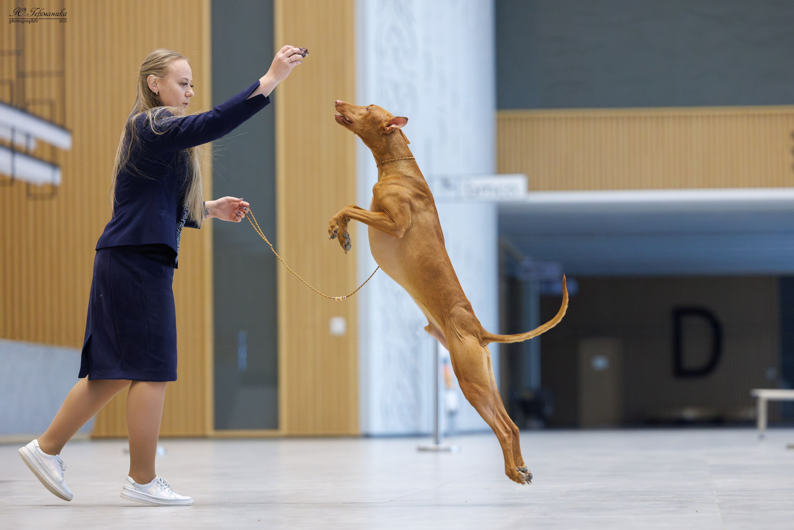 Астана 2хCACIB 3-4.05.2025. Фотограф-анималист Юлия Германика