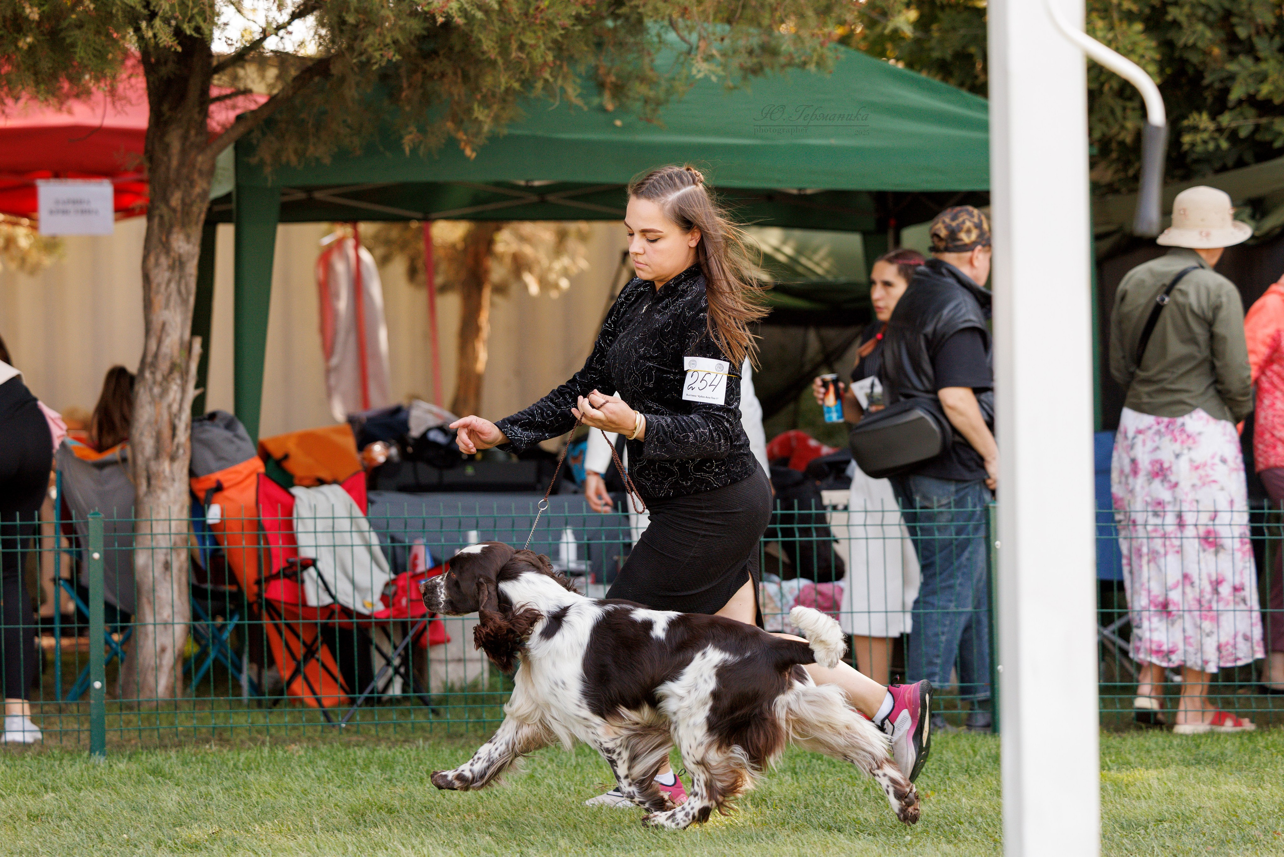 Бишкек 3х CACIB 26-28.09.2025. Фотограф-анималист Юлия Германика