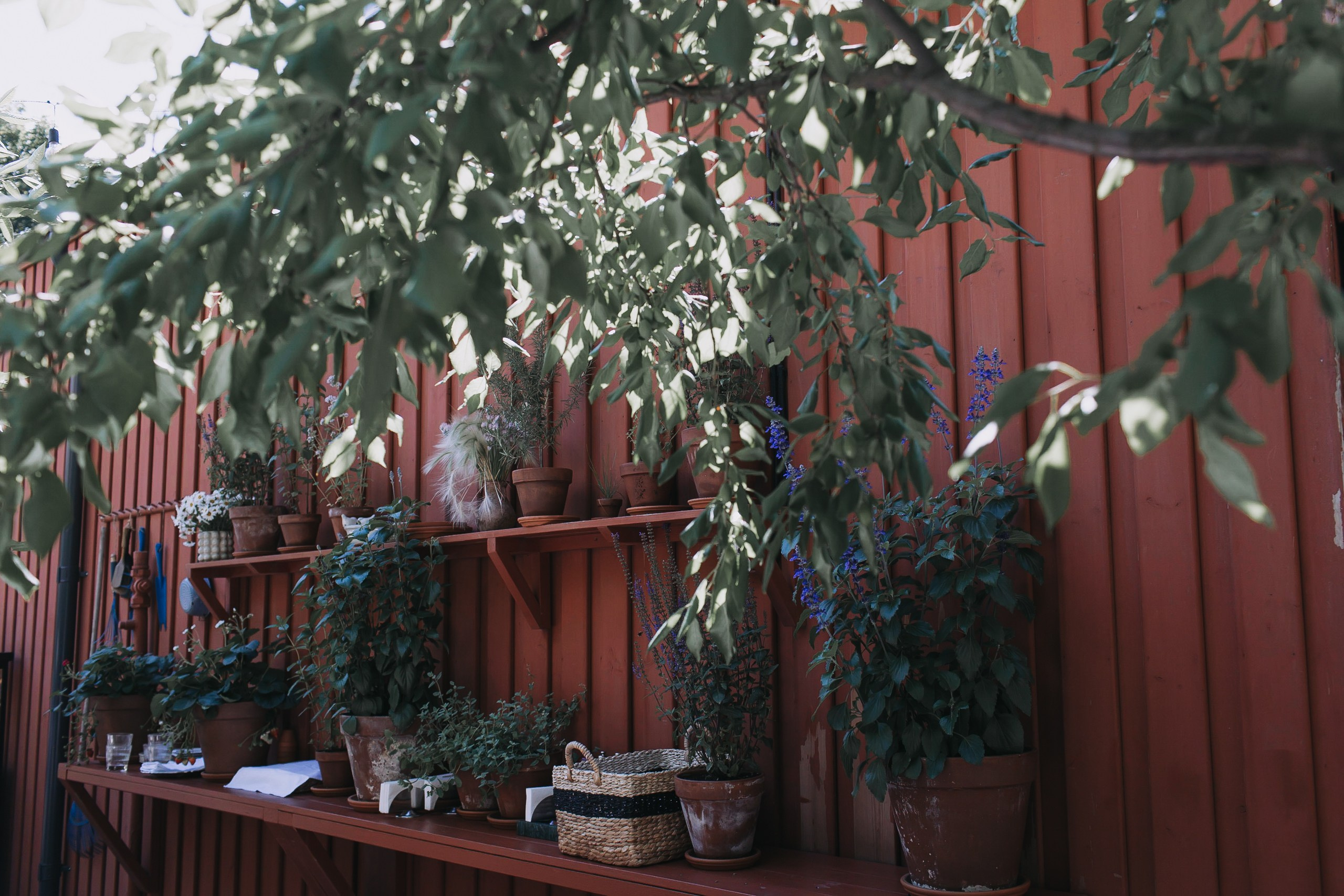 Рома и Оля. Репортажный фотограф Анастасия Головко