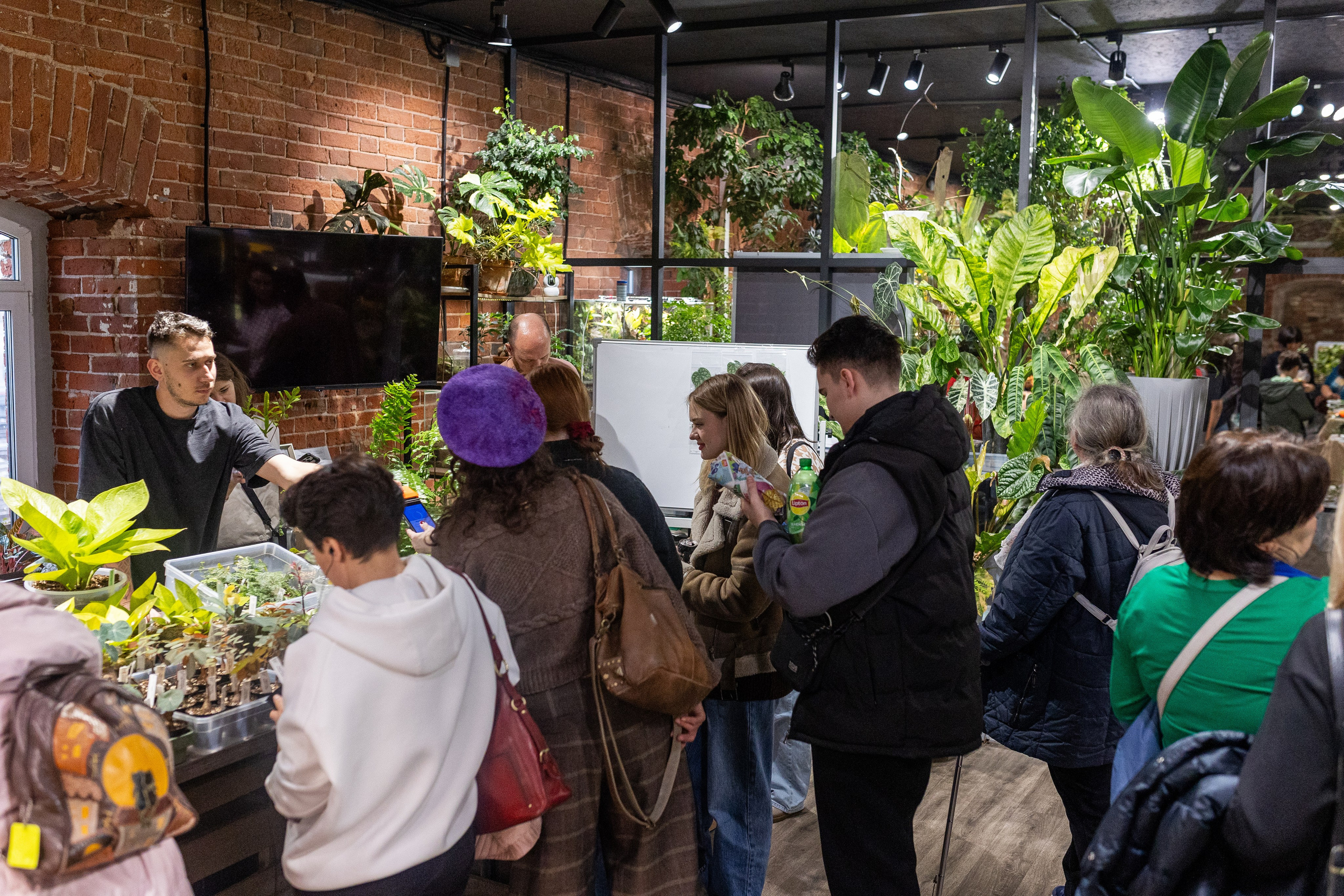GreenRare ярмарка 2024. Александра Куликова фотограф, Москва