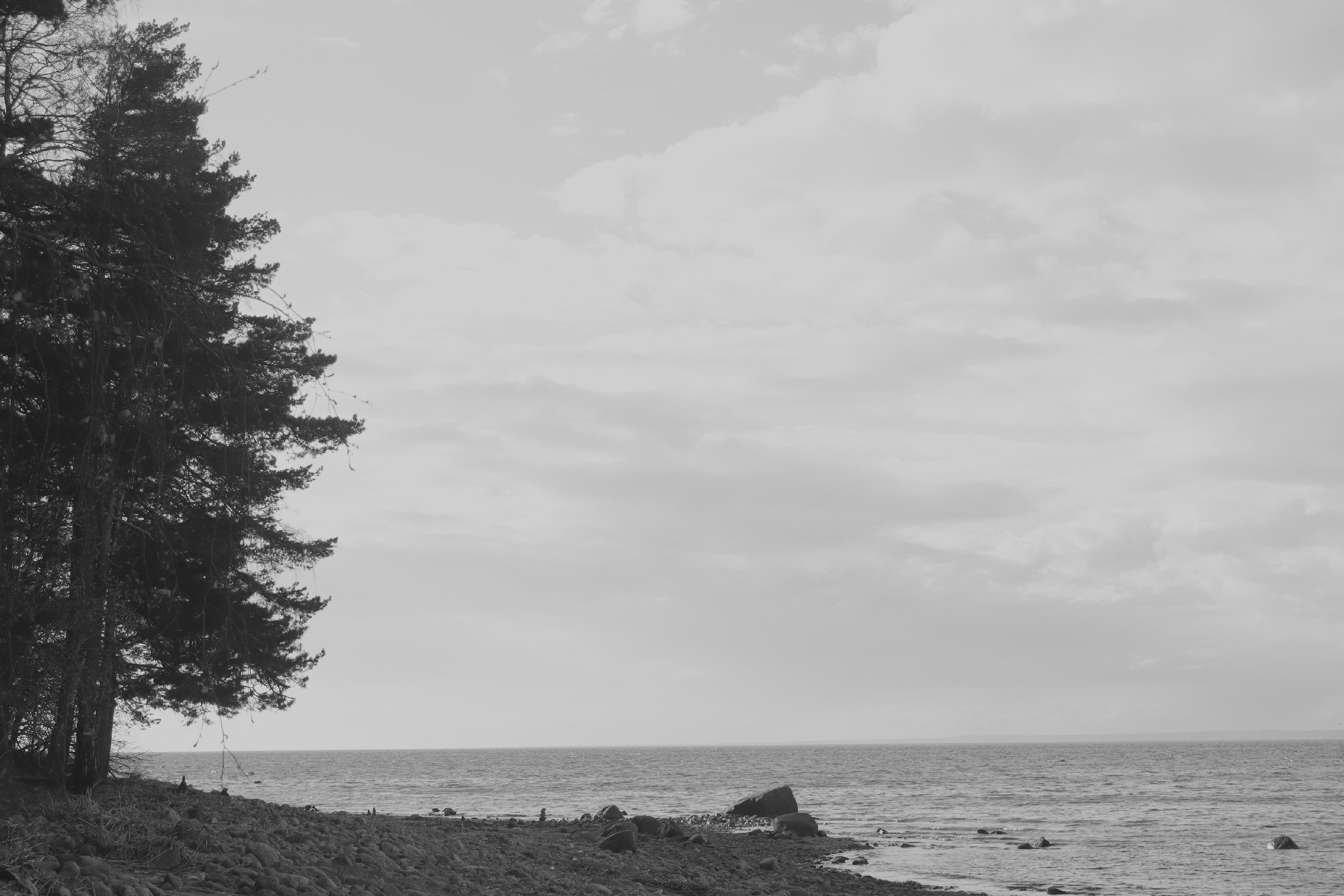 Лебяжье, берег Финского залива. FOTOFAQ SKOOL г. Санкт-Петербург: очные, дистанционные и онлайн курсы фотографии