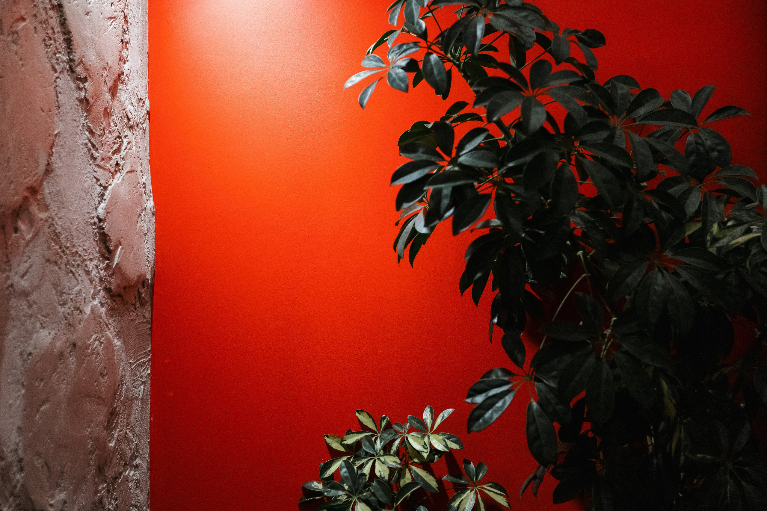 AMORE ОТКРЫТИЕ — DAY II. СВОИ. ФОТООТЧЕТЫ-СОБЫТИЯ-МЕСТА