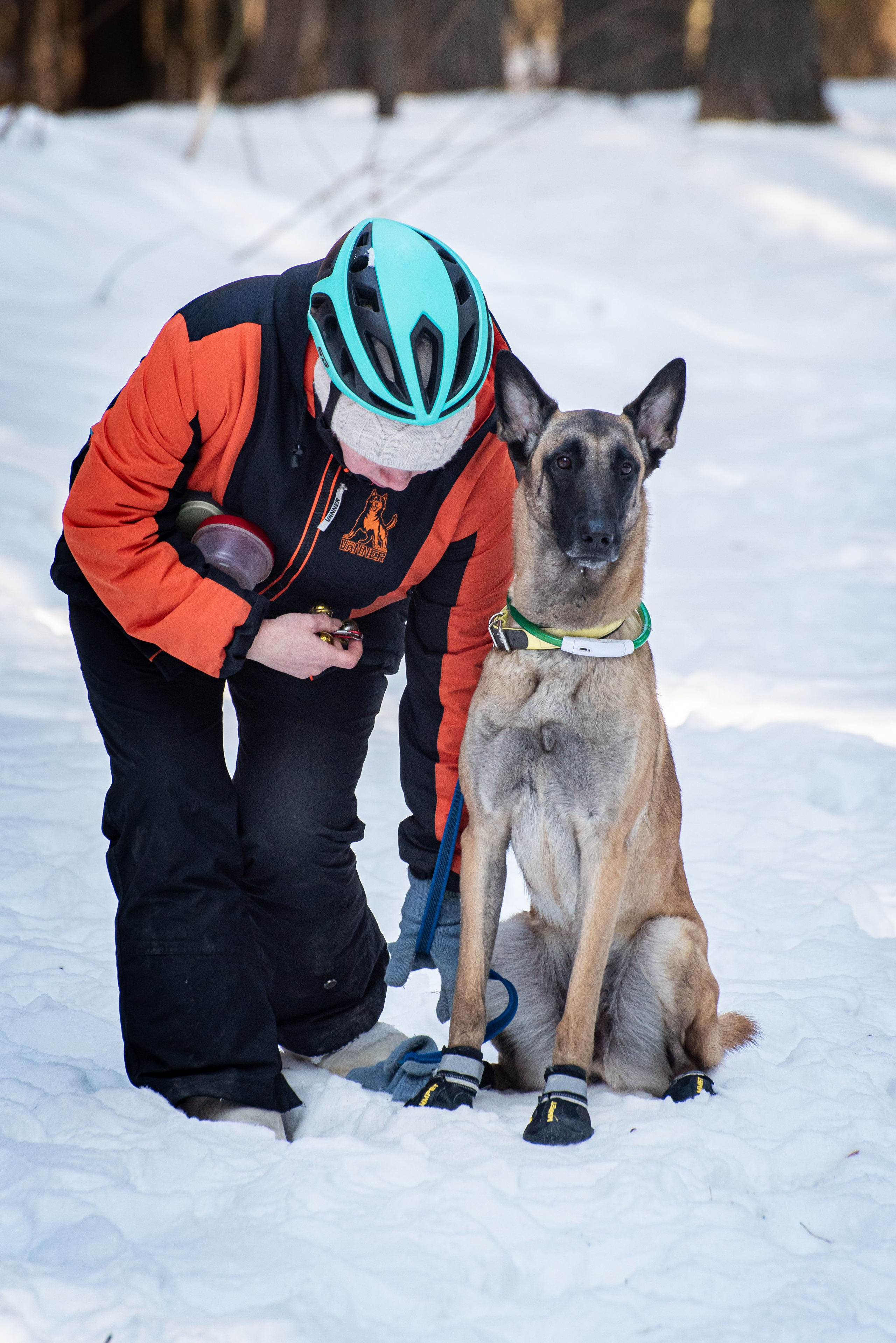 Фотосъёмка с собаками в Кинологическом лагере. Фотограф Макс Огурцов в Нижнем Новгороде