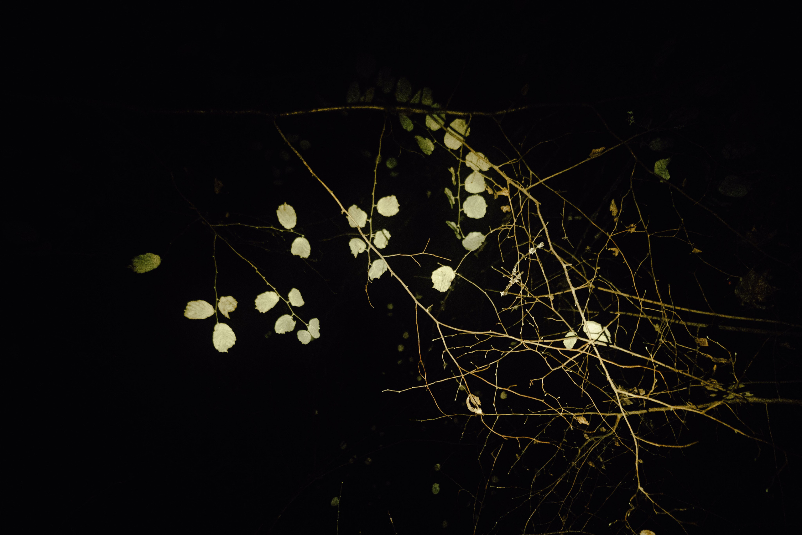 «52 герца». Фотограф Аннё| Москва