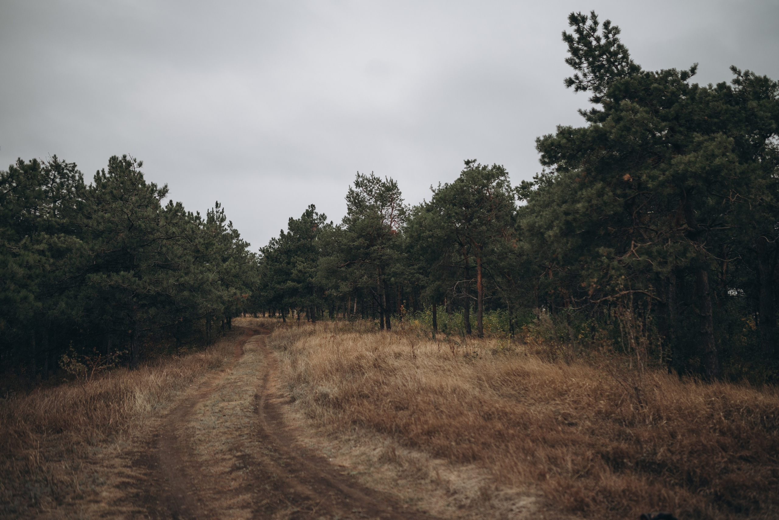 В поле. Семейный фотограф Ростов-на-Дону Татьяна Соколова