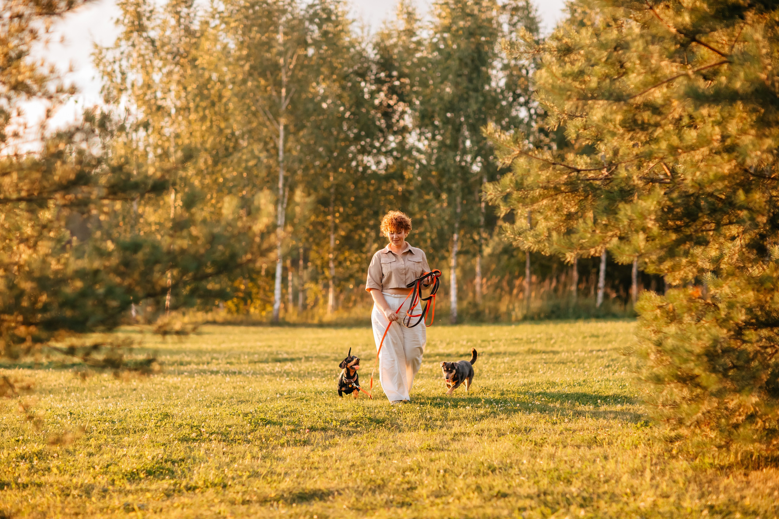 Анна, Шкипер и Джина. Семейный фотограф анималист Мария Крючкова