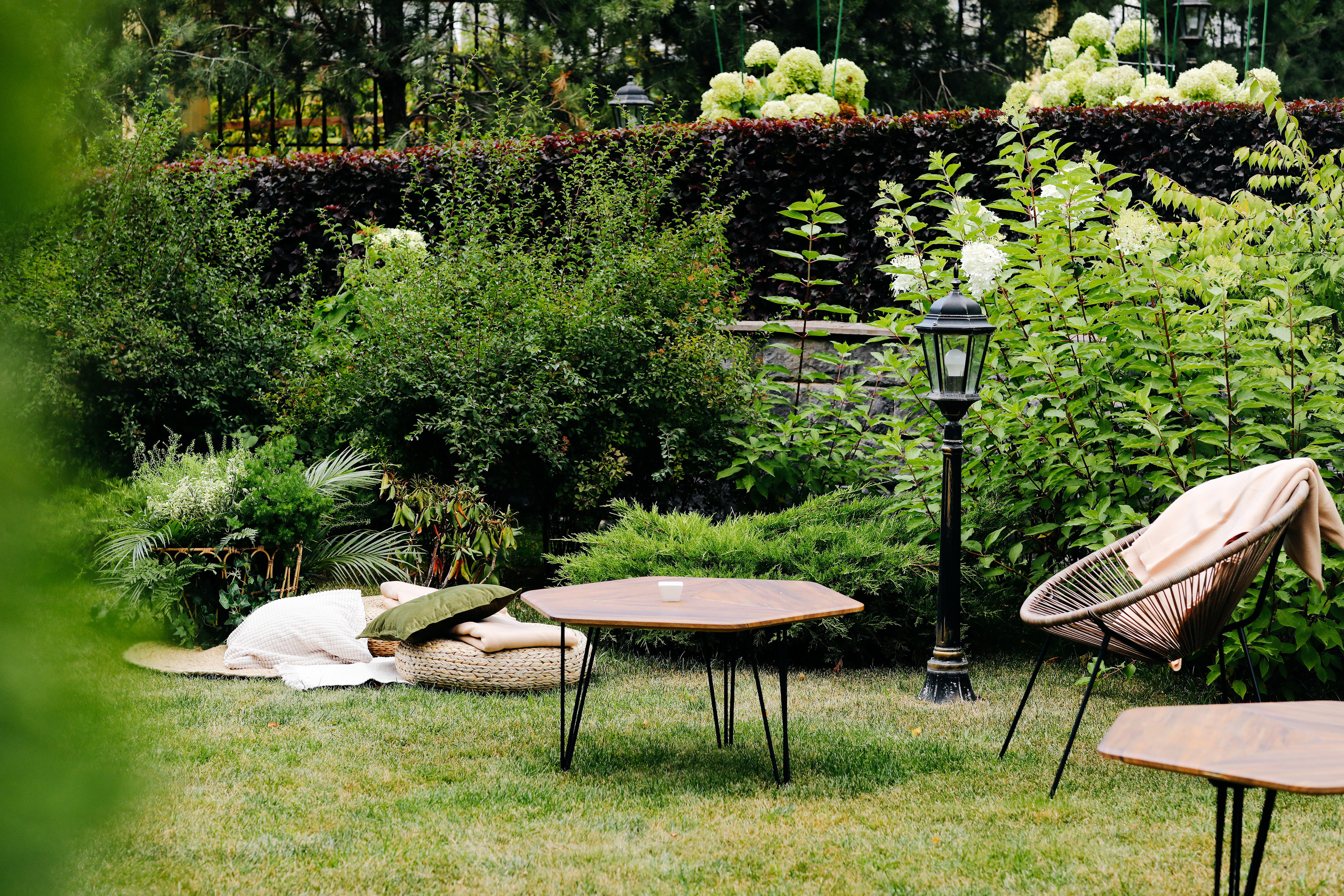 Фотосъемка юбилея. Alena Nezalenova