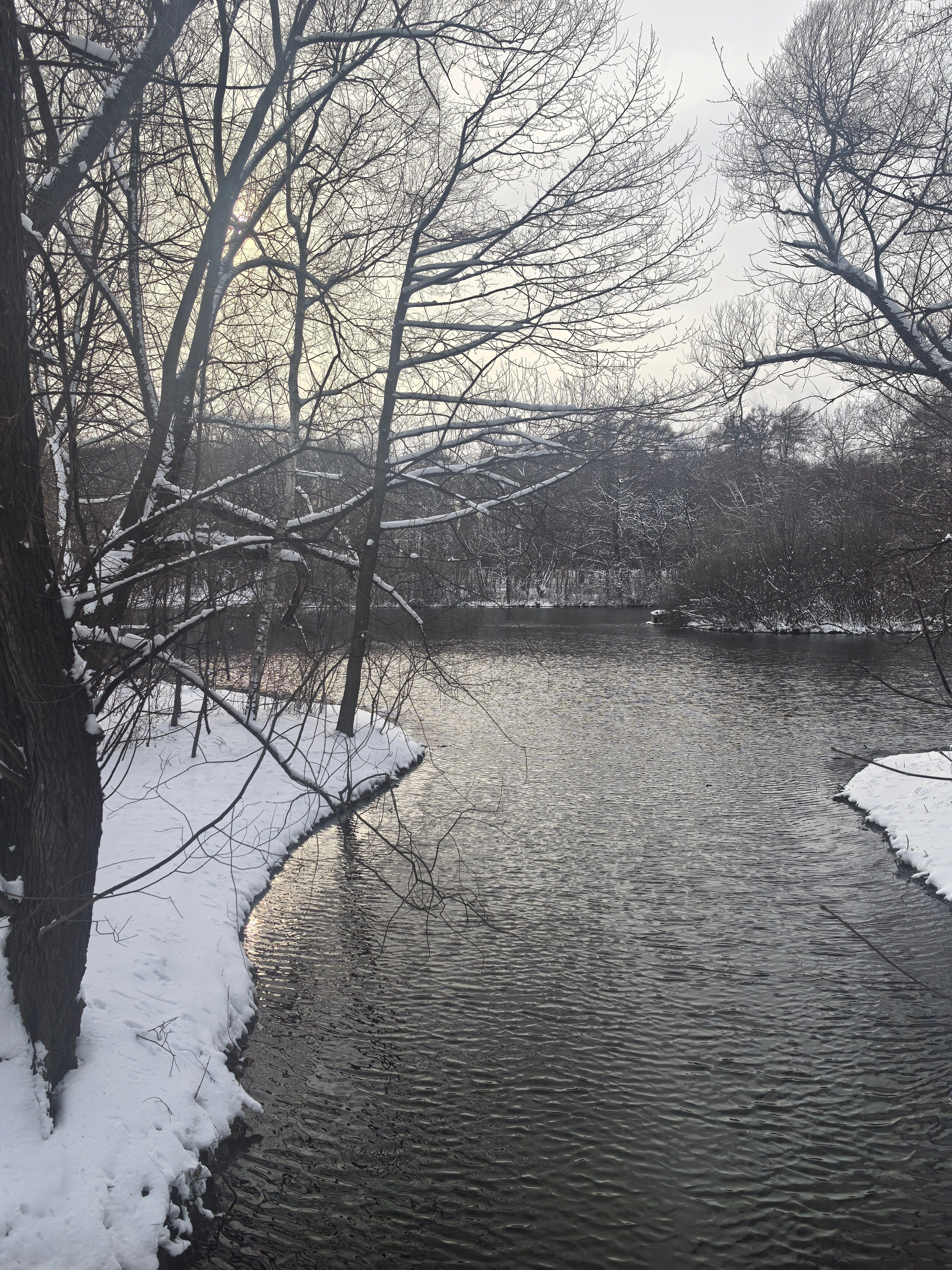 Покровско-Стрешнево. Школьные выпускные альбомы в Москве Марина Николаева