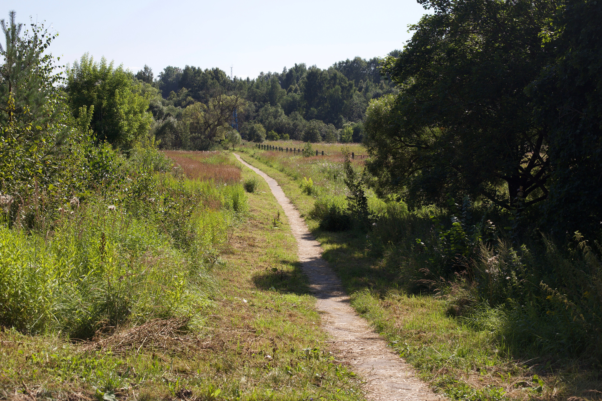 Ново-Иерусалимкий монастырь. Школьные выпускные альбомы в Москве Марина Николаева
