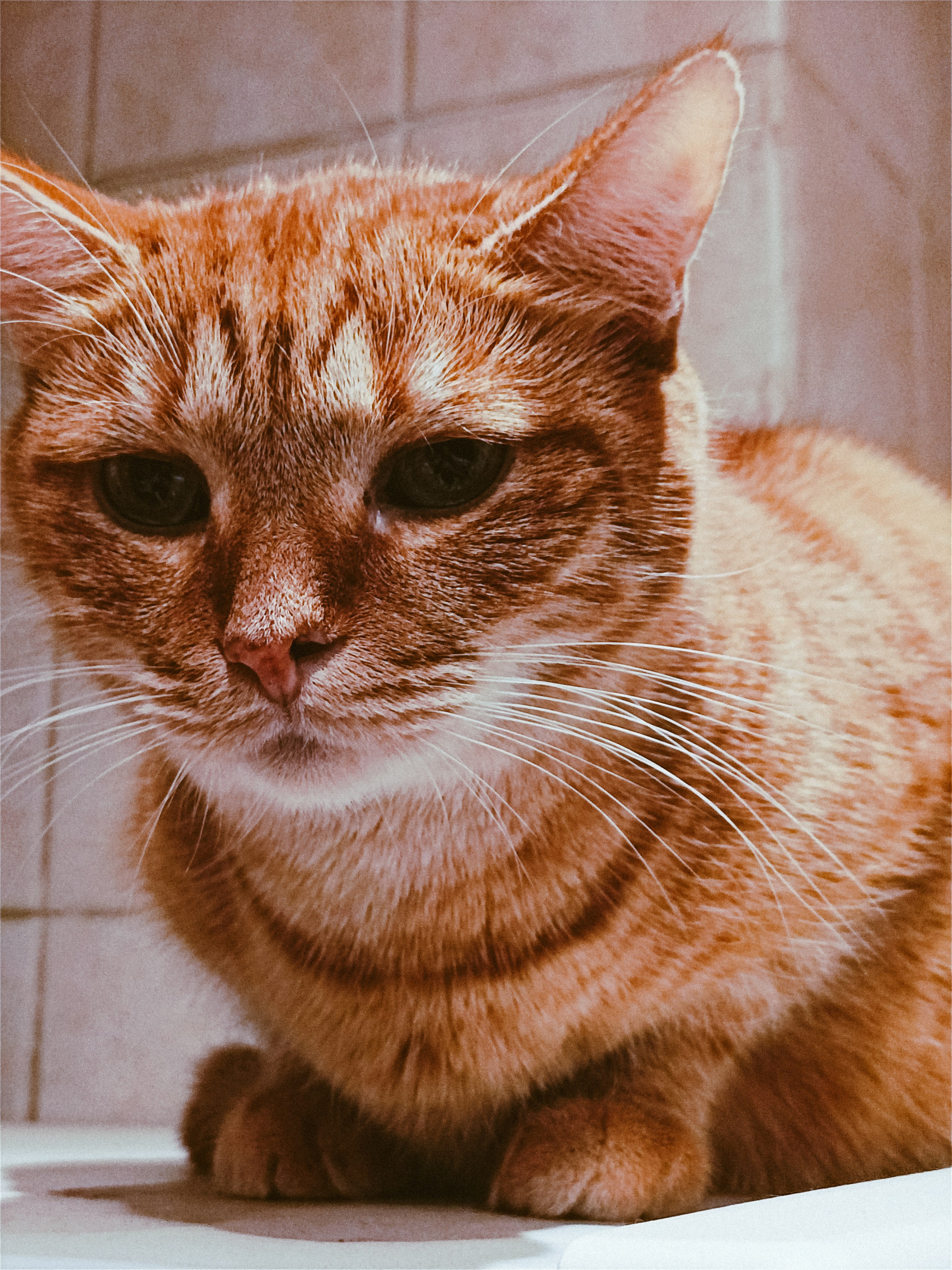 Мобильная. Jorgis — фотограф в Хургаде / обучение фотографии