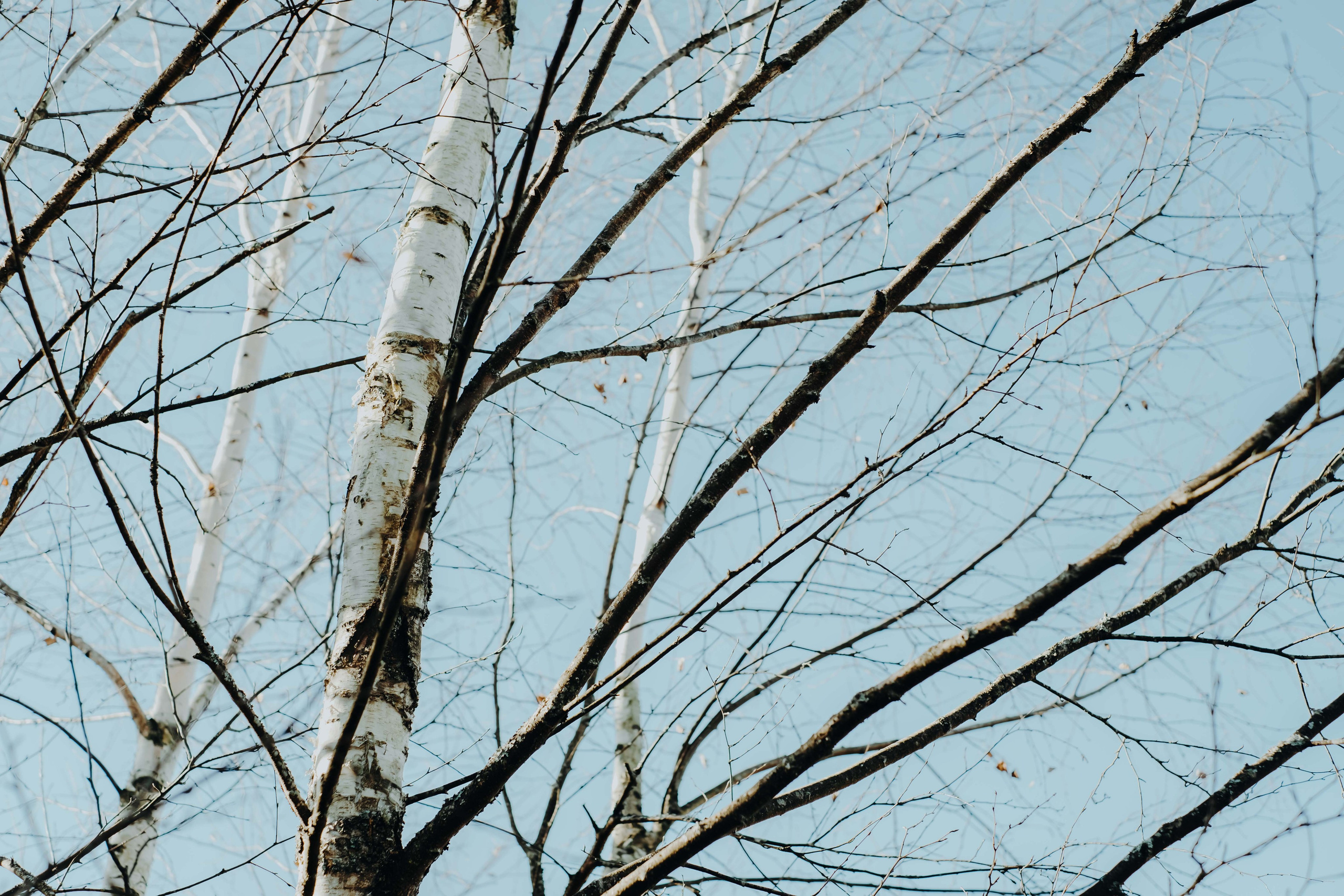 Terra Nova: Пробуждение |Грани Миров. Фотограф Аннё| Москва