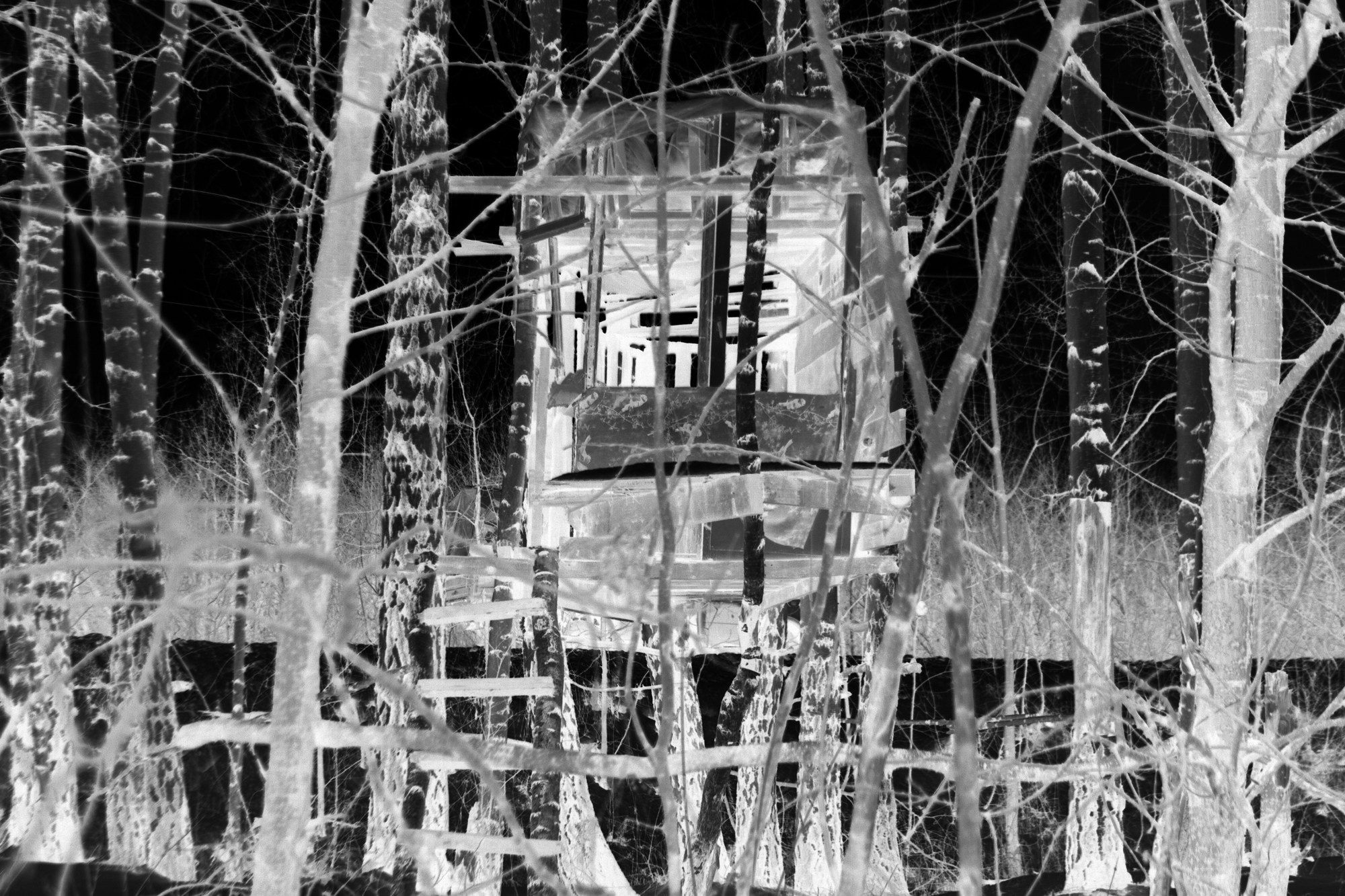 Teplushka project. Янина болдырева Yanina Boldyreva