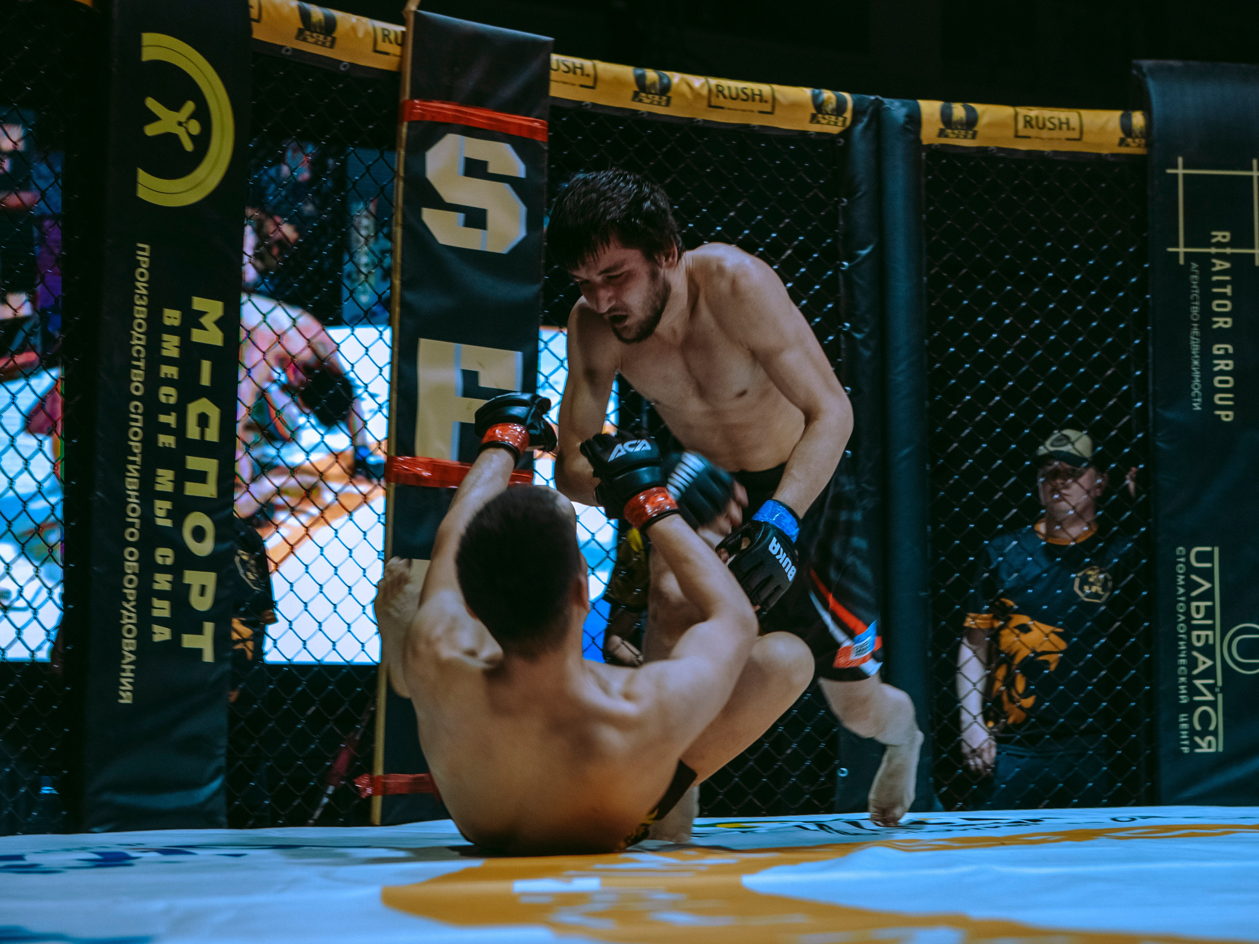 SFL 17 | Siberian Fighting League. Портретный фотограф в Москве Дарья Цезария