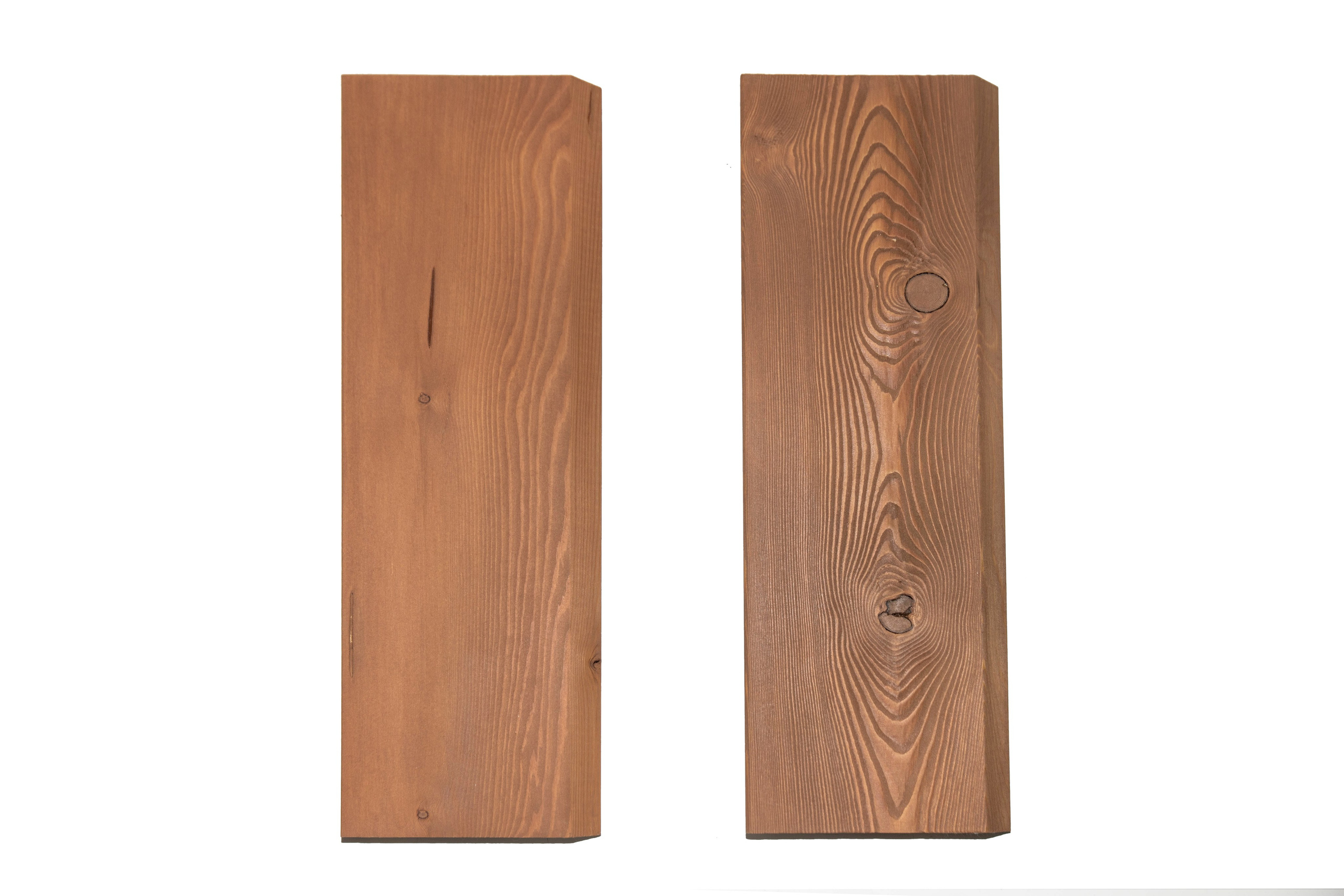 Дерево. Фотограф