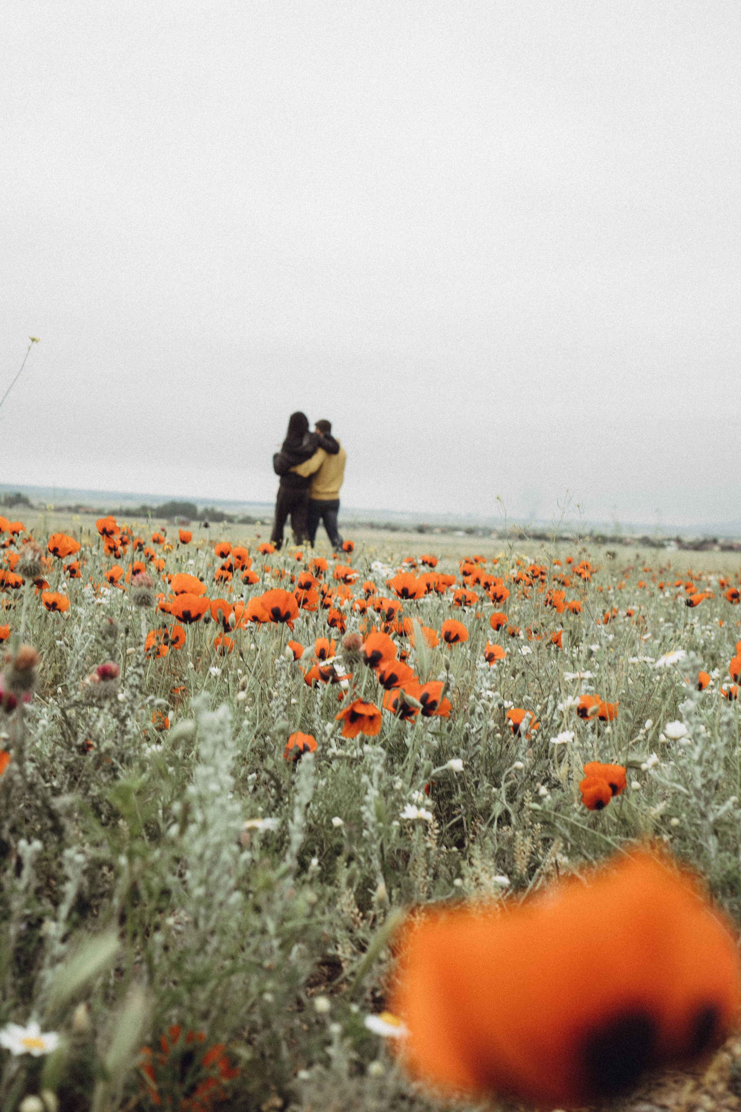 Любовь в маковом поле. Профессиональный фотограф, Санкт-Петербург — Виктория Богомолова