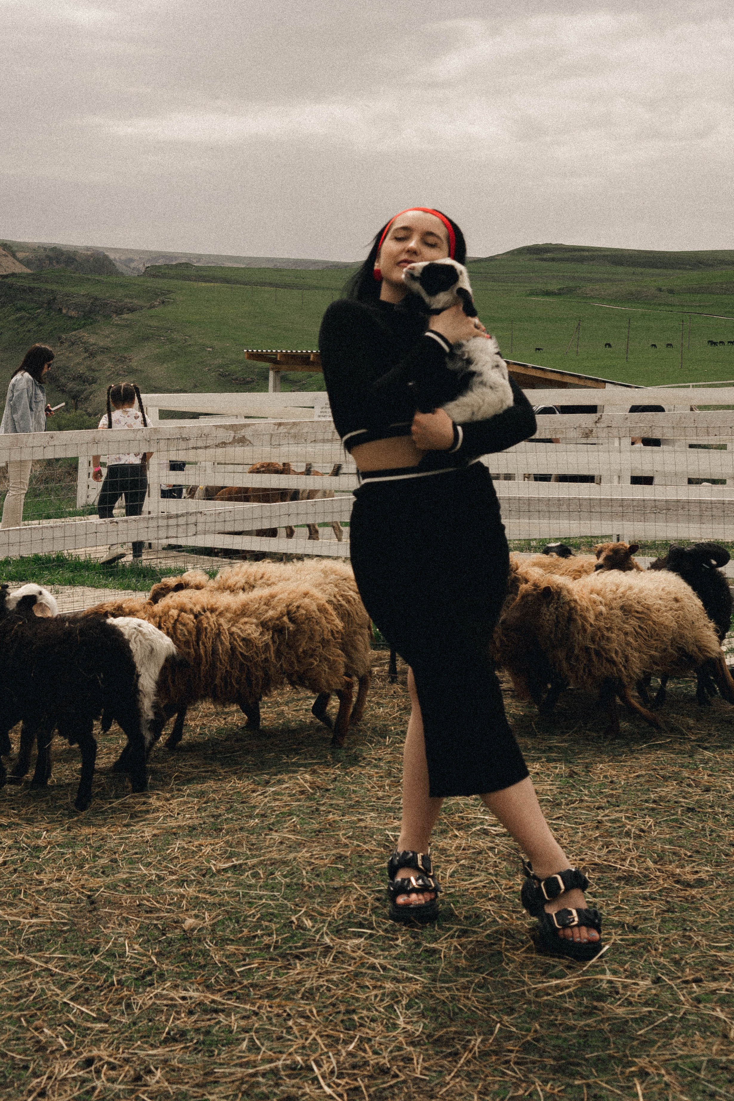 Ферма Альпак. Профессиональный фотограф, Санкт-Петербург — Виктория Богомолова