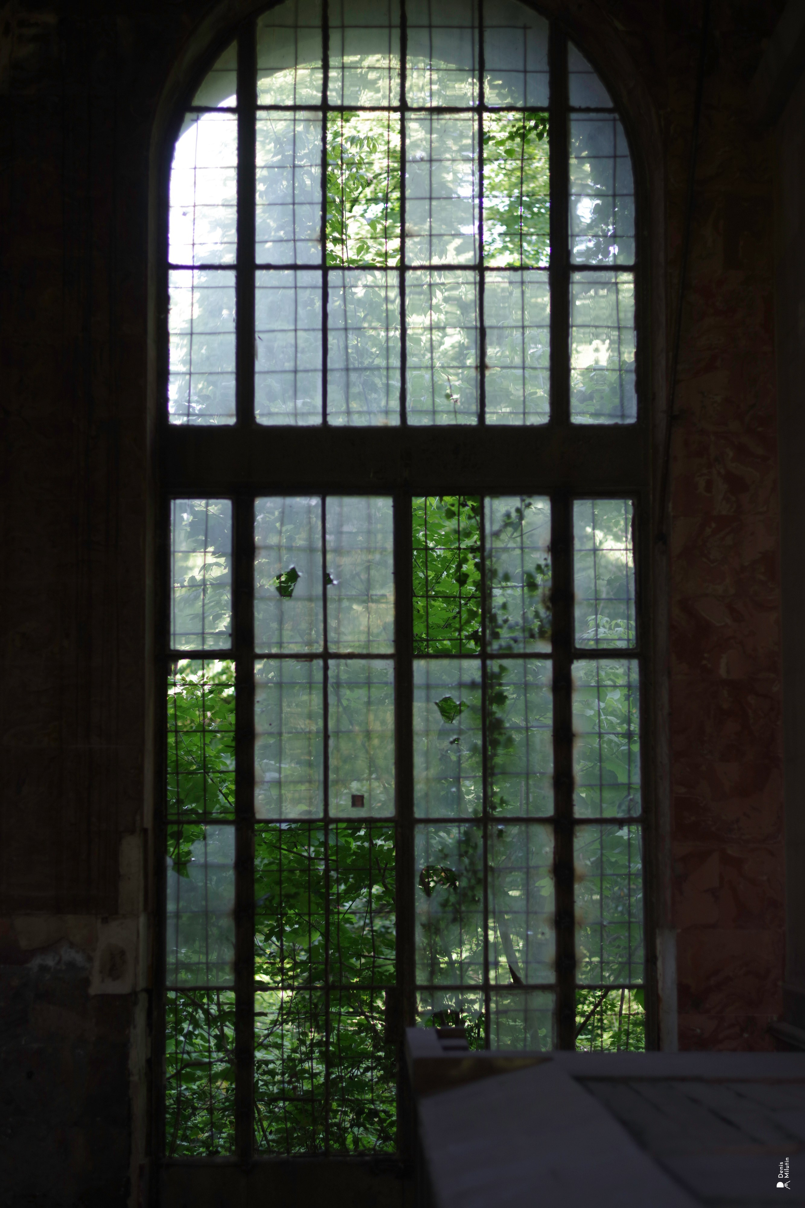 В отпуске с Артёмом. Портретный фотограф Денис Милютин