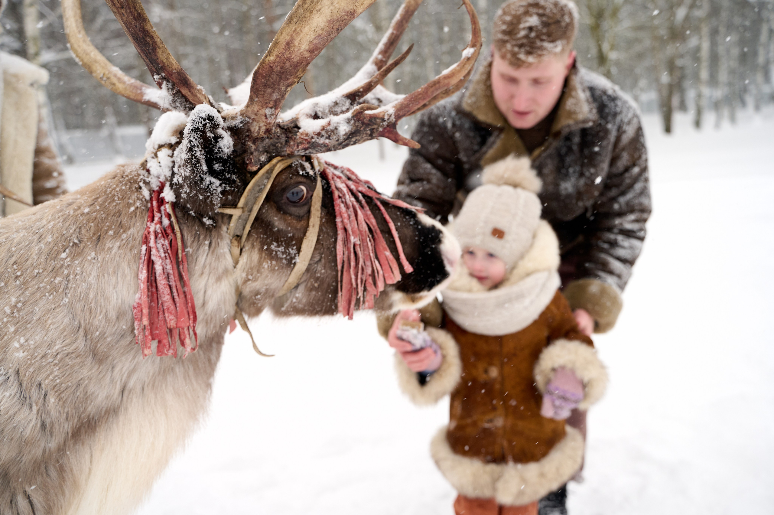 Дмитрий Тамара Ирина. Фотограф Егорьевск Коломна Воскресенск