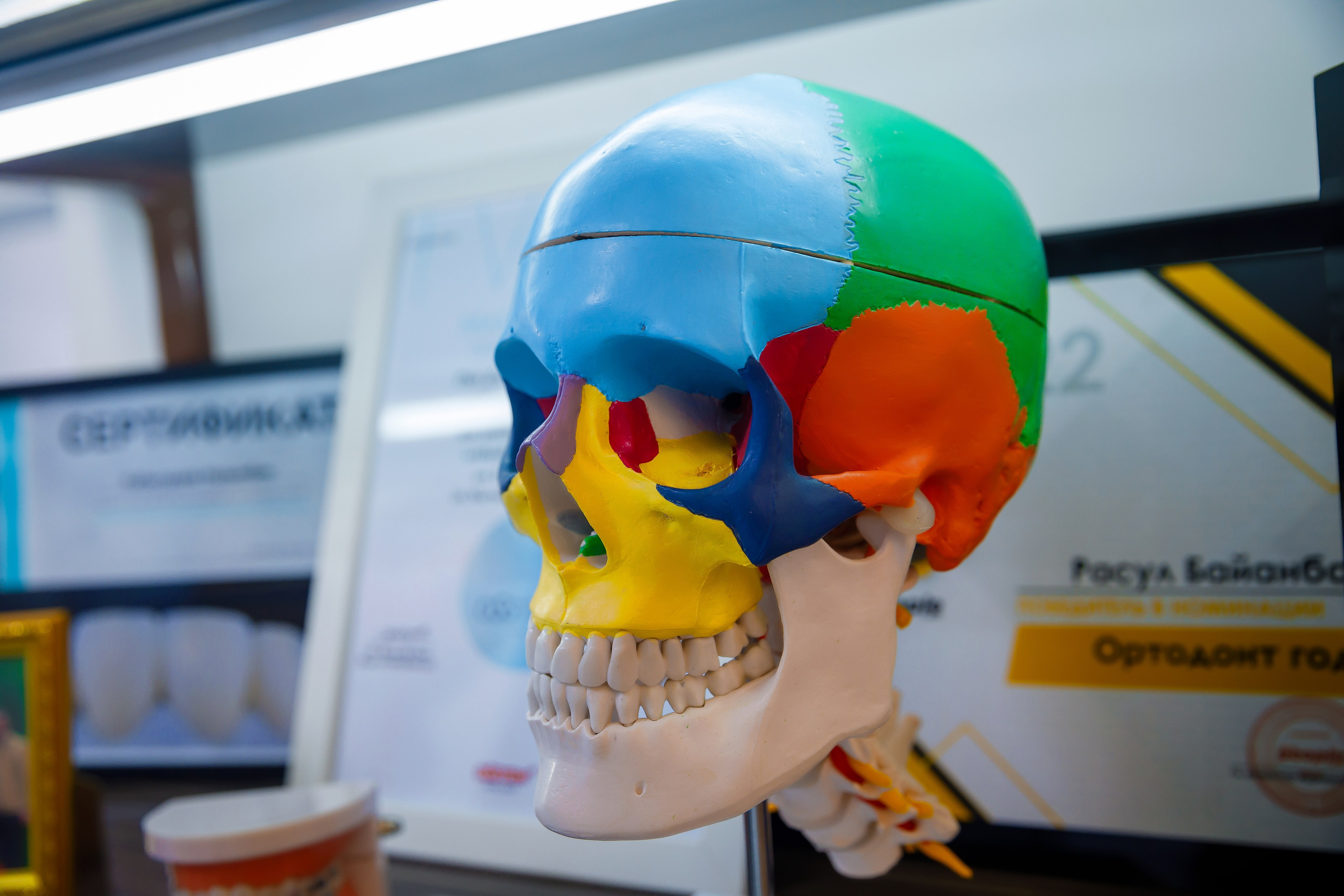 Стамотология. Семейный и Свадебный фотограф в Астане Александр Астапов