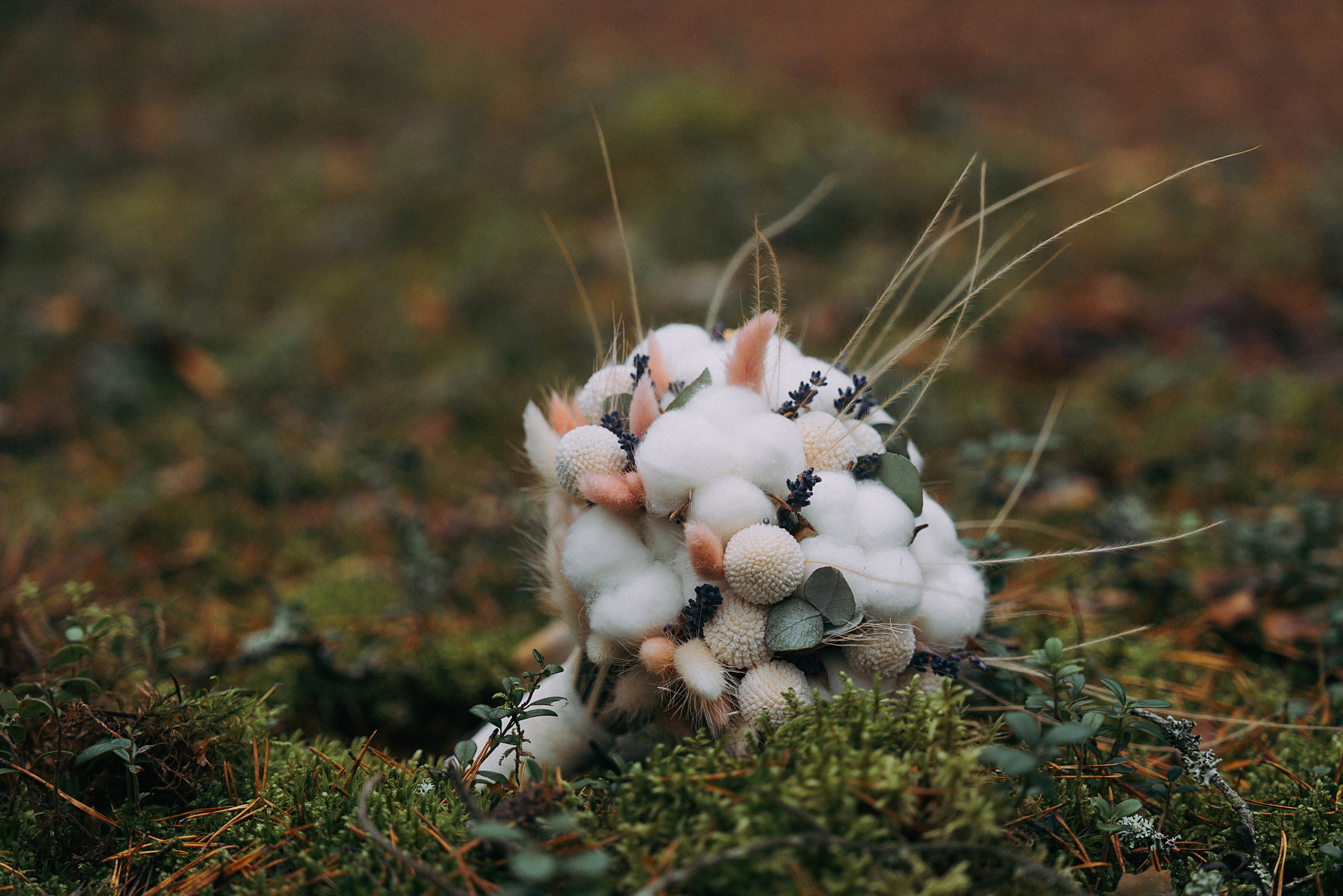 Weddings. Главная