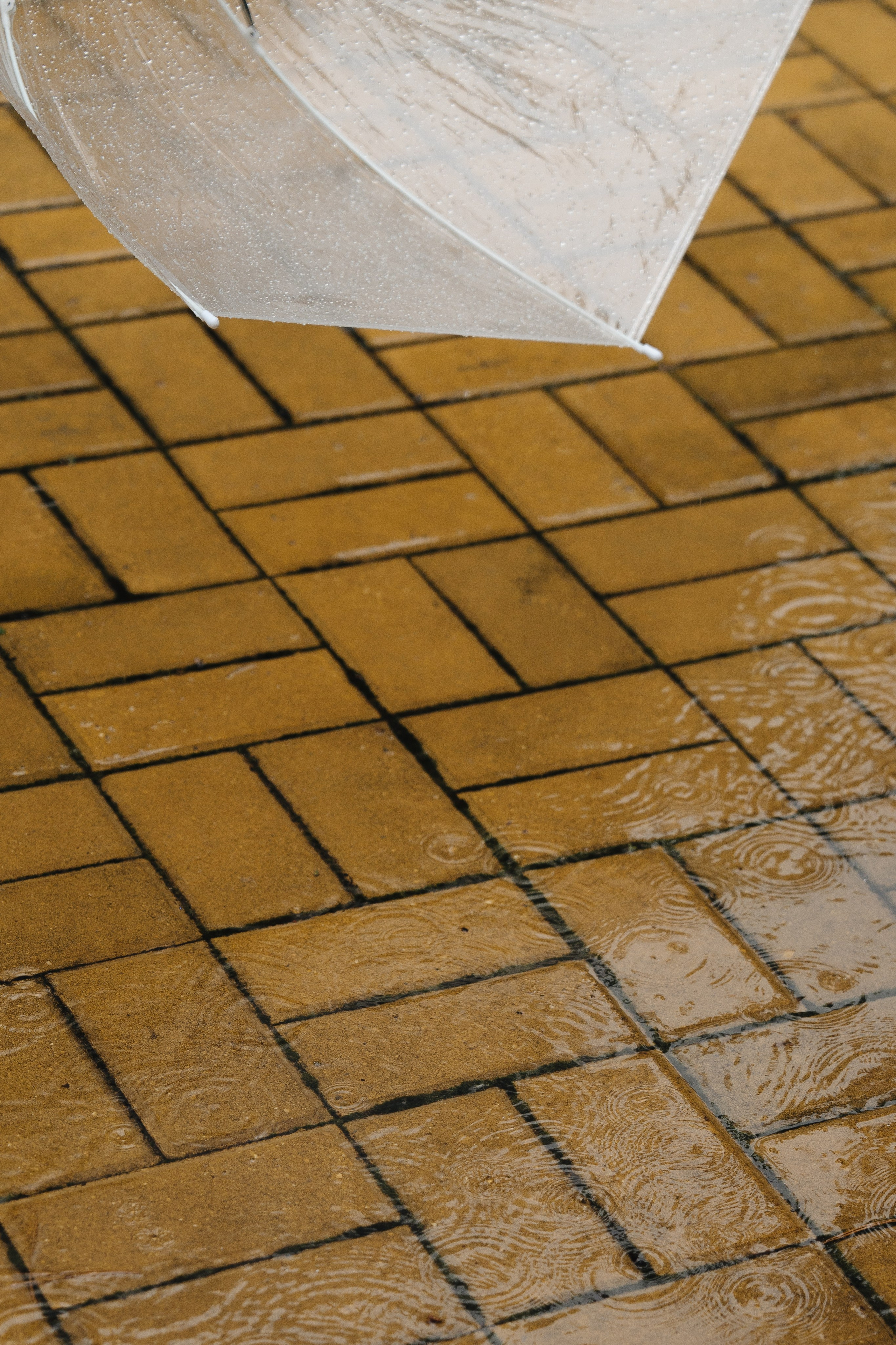 Александр и Оксана. Свадебный фотограф Воронеж Марина Грудинина