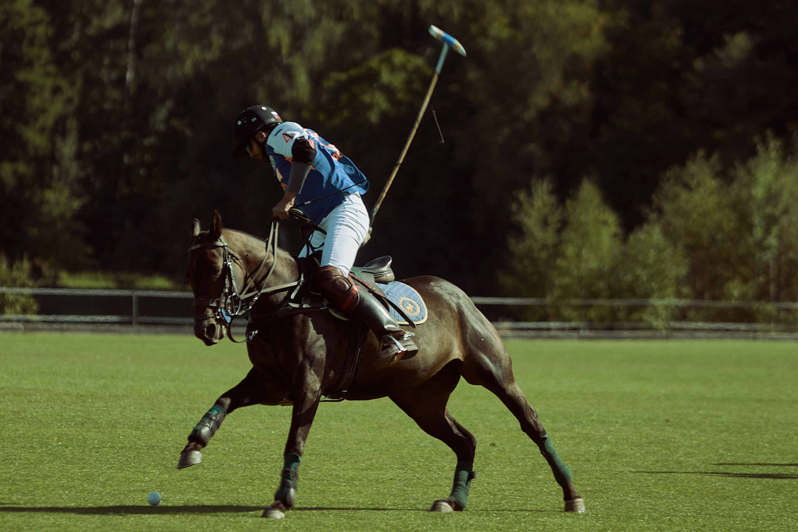 HORSE POLO. Фотограф Наталья Леонова