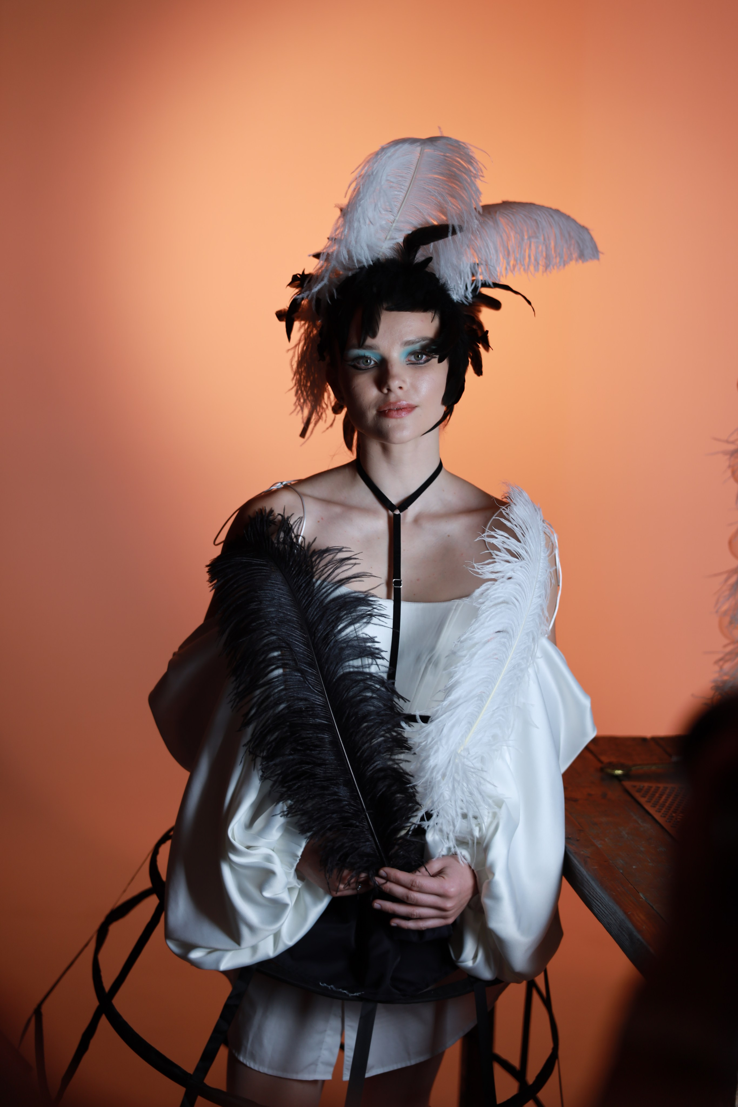 Перья. Съемка в студии под ваш запрос, студийные съемки, фотографии архитектурных объектов — Александр Евстигнеев — фотограф Москва