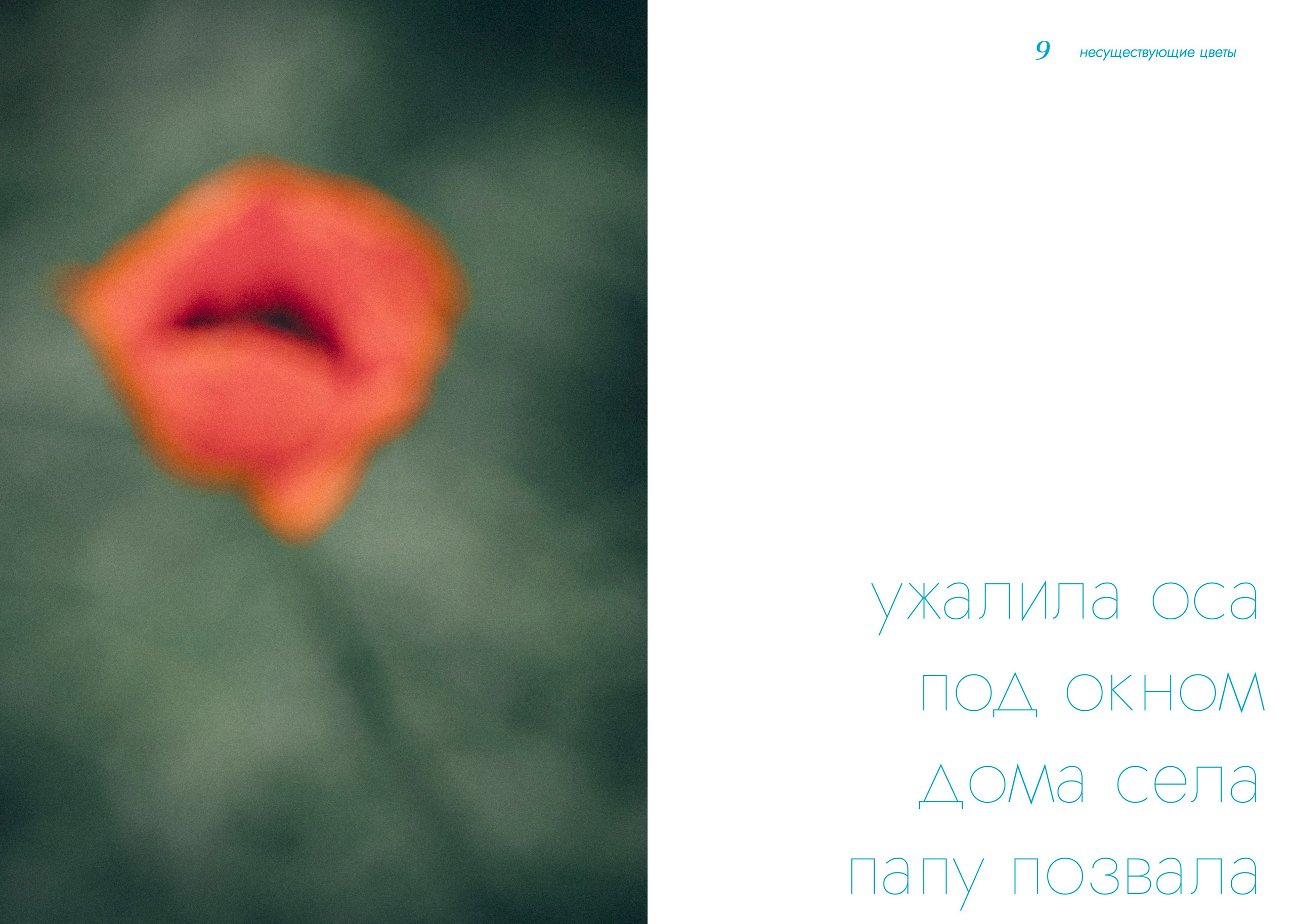 BOOK ART. Фотограф Евгений Чащихин RGB АРХИТЕКТОР в Перми