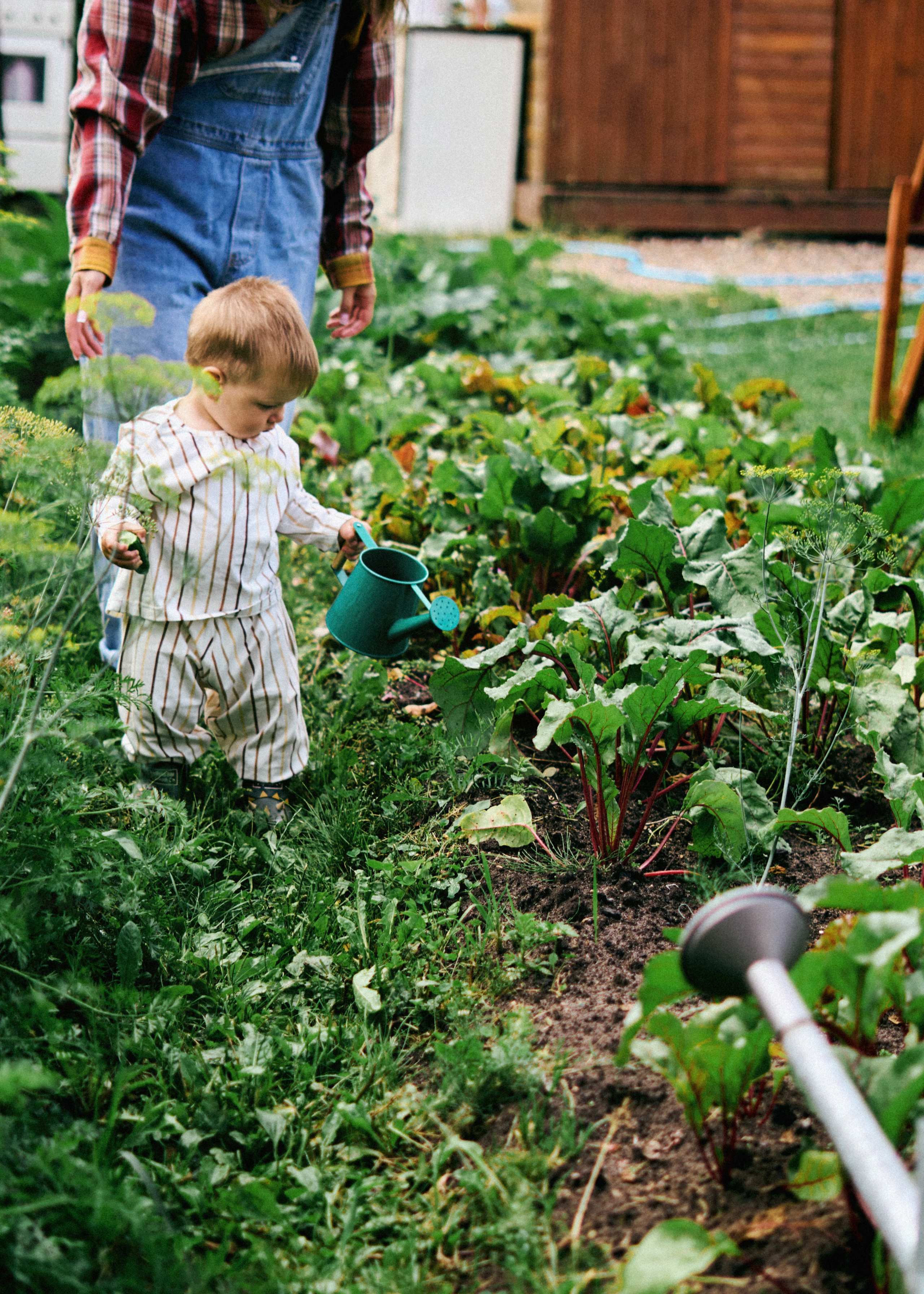 Лия и Елисей. SHILOVA PHOTO. Шилова Екатерина. Фотограф. Москва