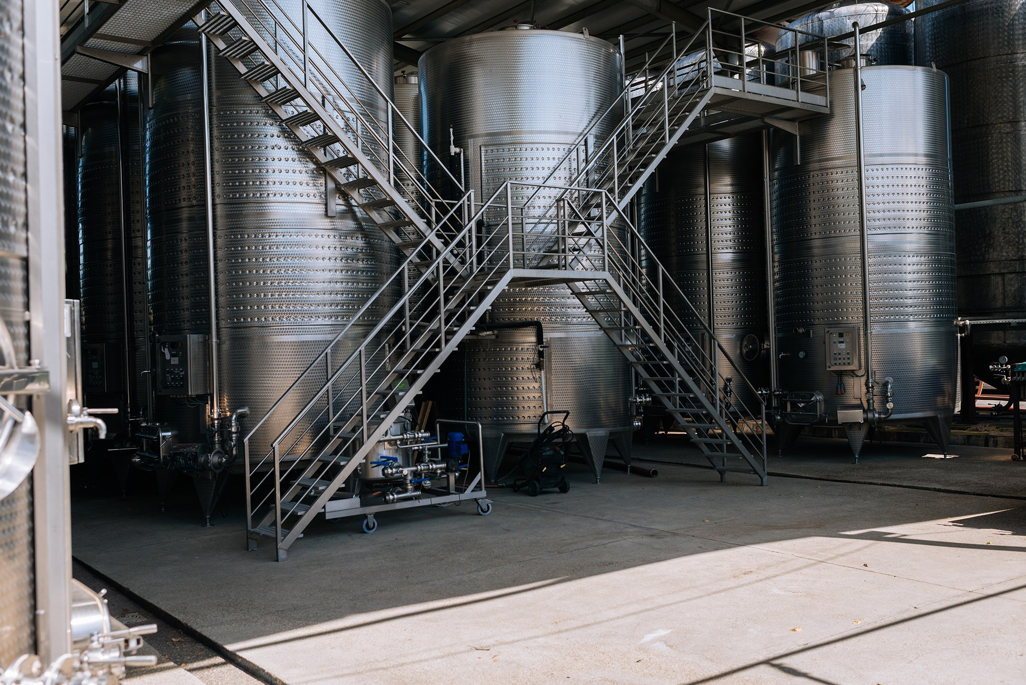 Винный завод «Корпорация Киндзмараули». Май 25. Репортажный фотограф в Санкт-Петербурге Анастасия Клёпова