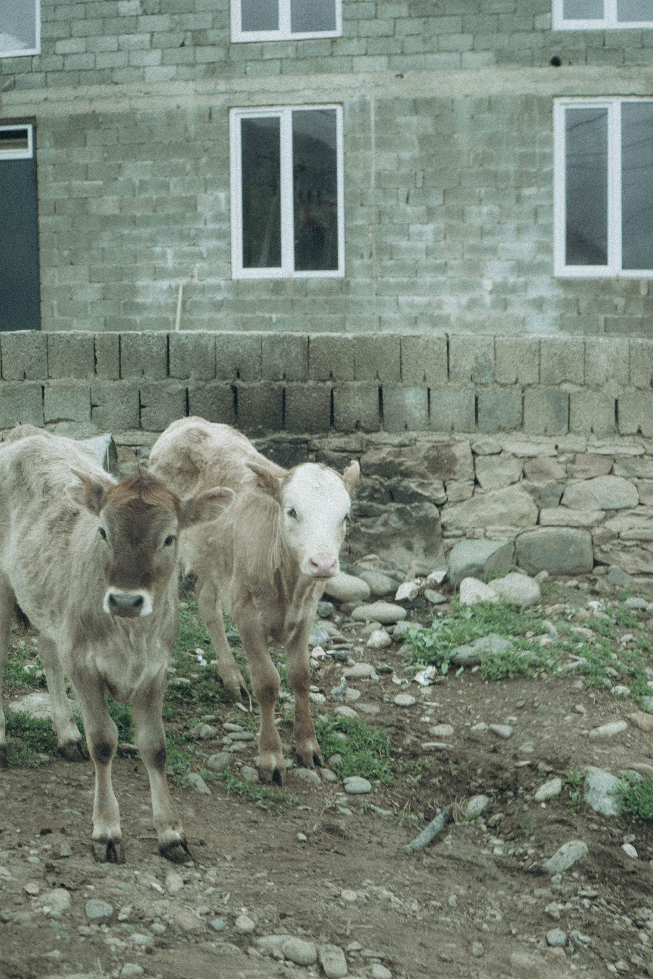 Кавказ. Профессиональный фотограф, Санкт-Петербург — Виктория Богомолова