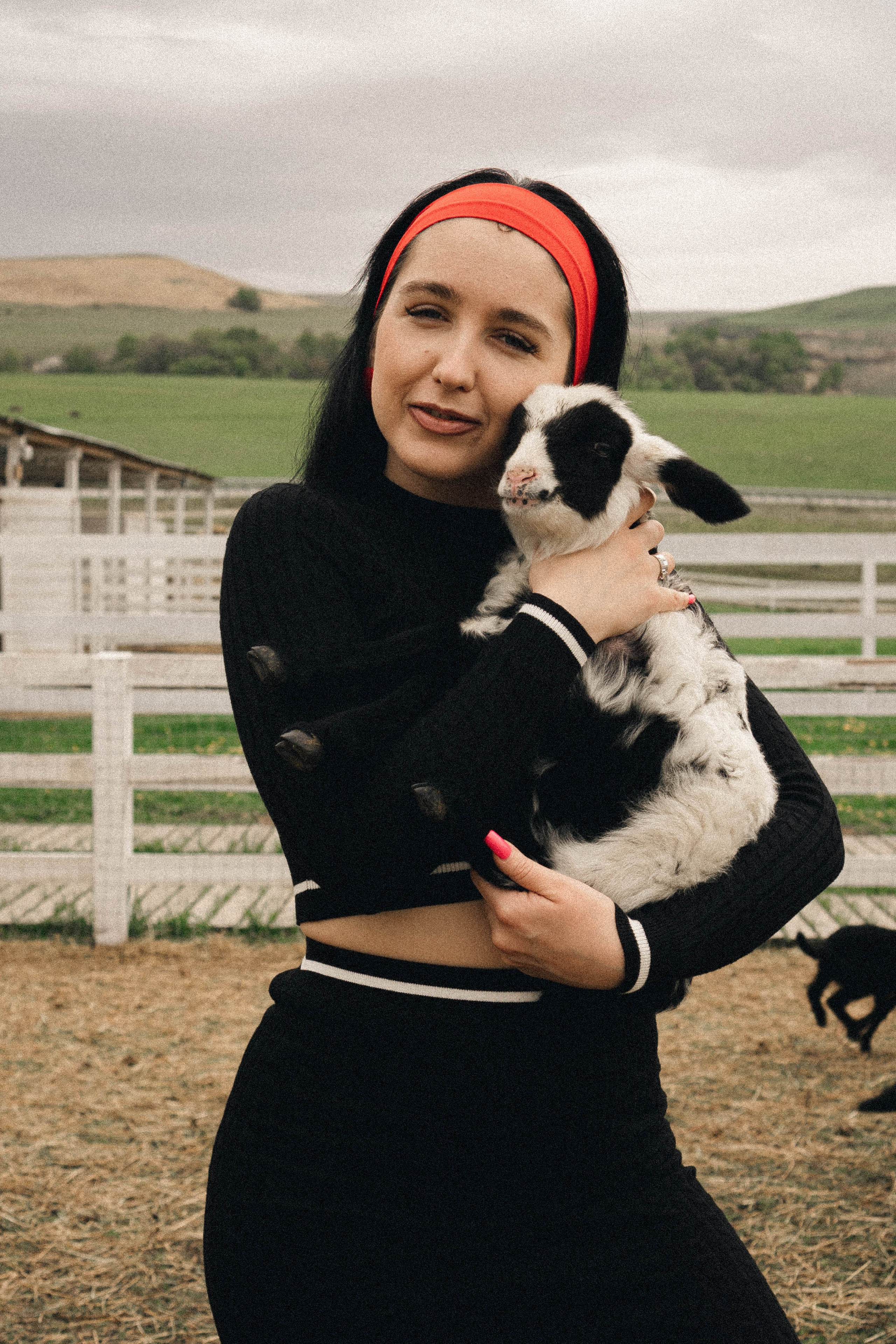 Ферма Альпак. Профессиональный фотограф, Санкт-Петербург — Виктория Богомолова