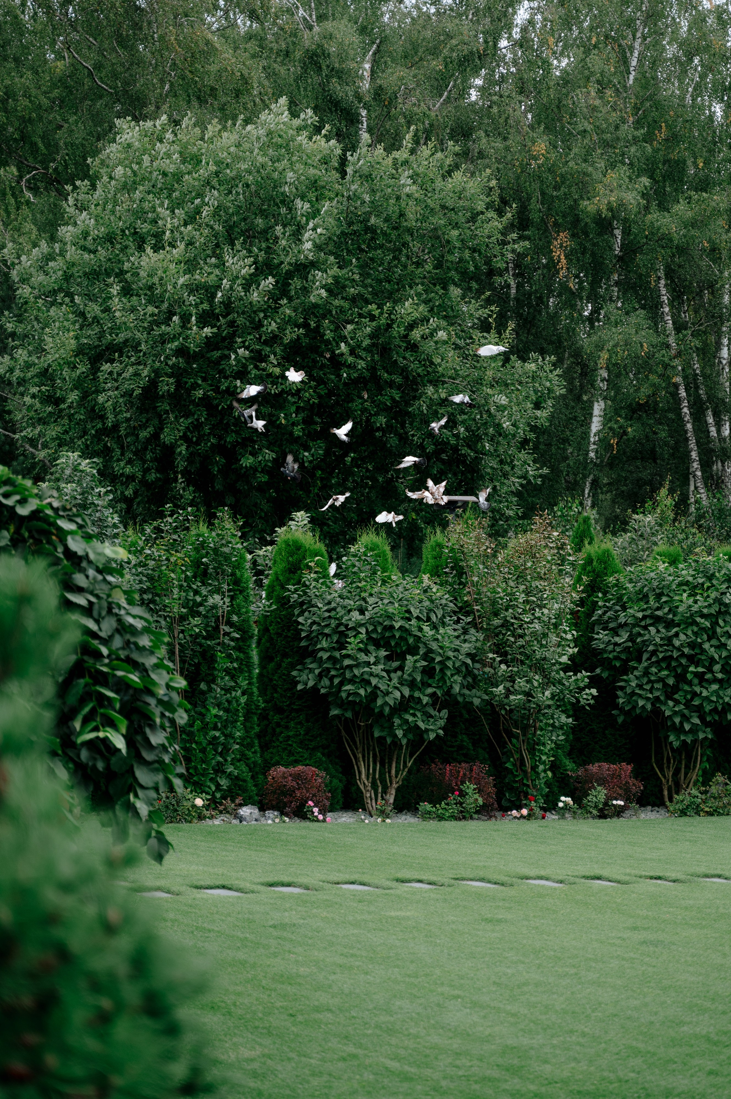 (Сэм+Валя)+155 гостей = ❤️ | 2024. Фотограф Вито Бурмасов | Москва