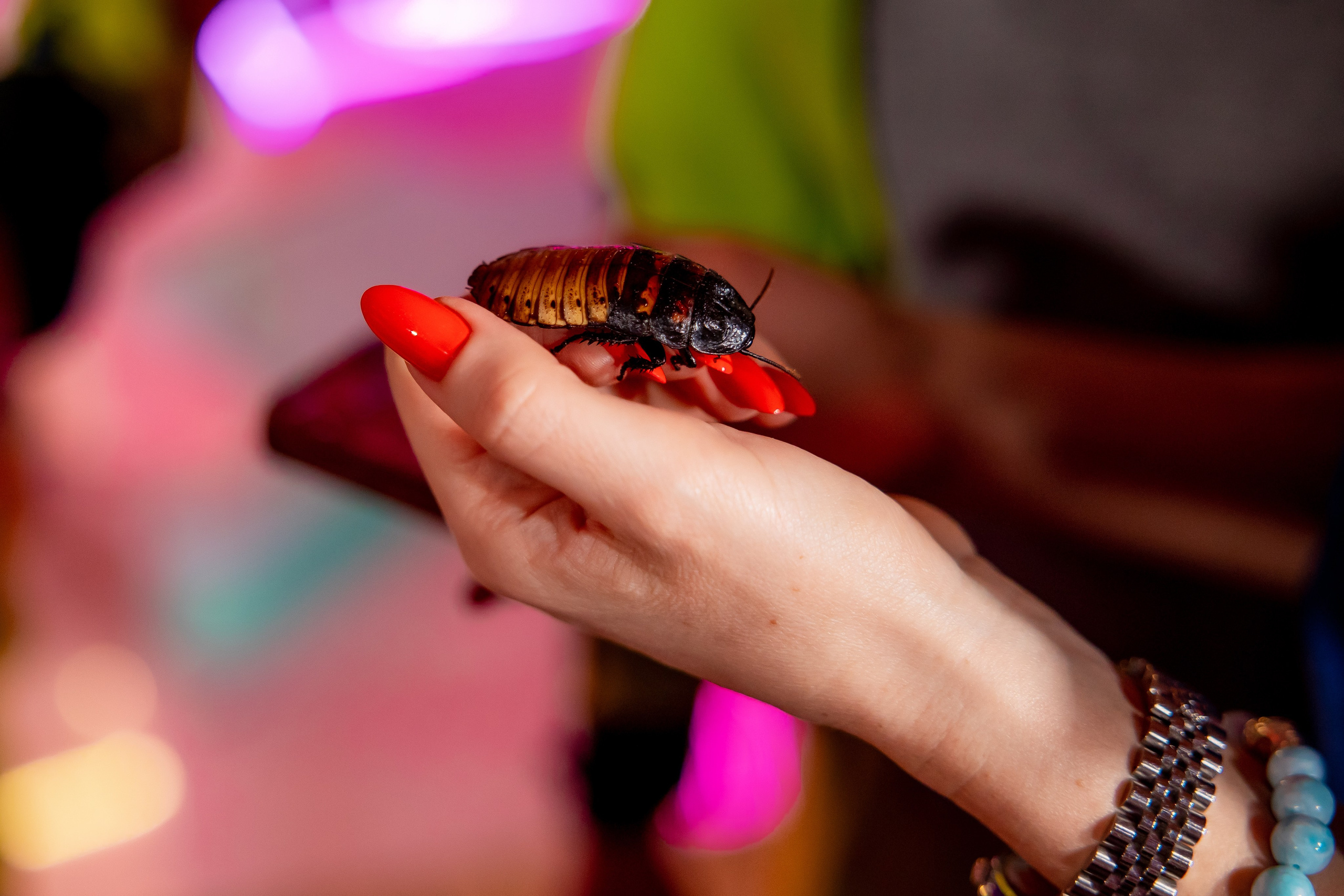 Детские праздники. Семейный фотограф в Москве