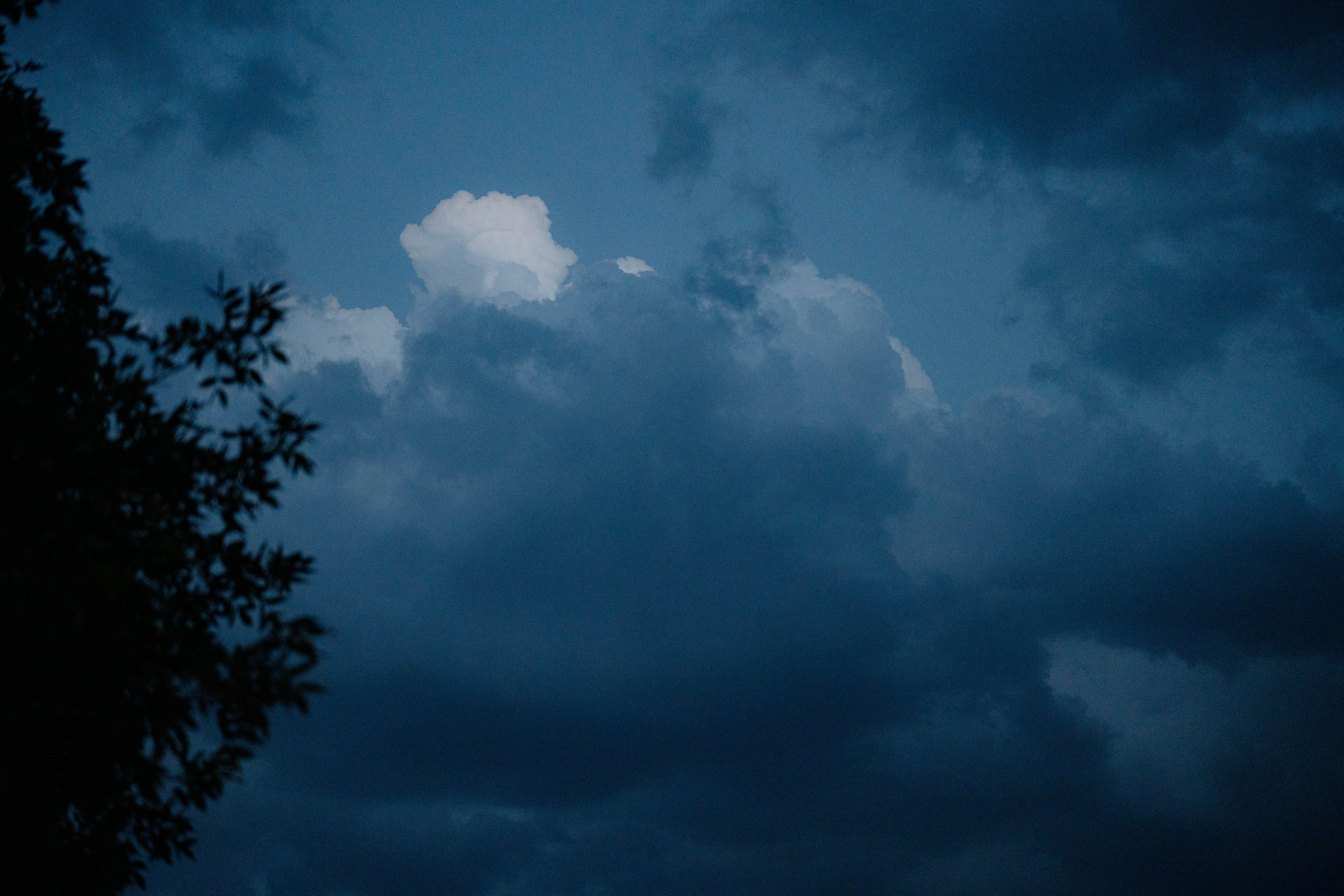 ASS FAMILY | СОН В ДЕРЕВНЕ | АВИАРЕЖИМ 8.0