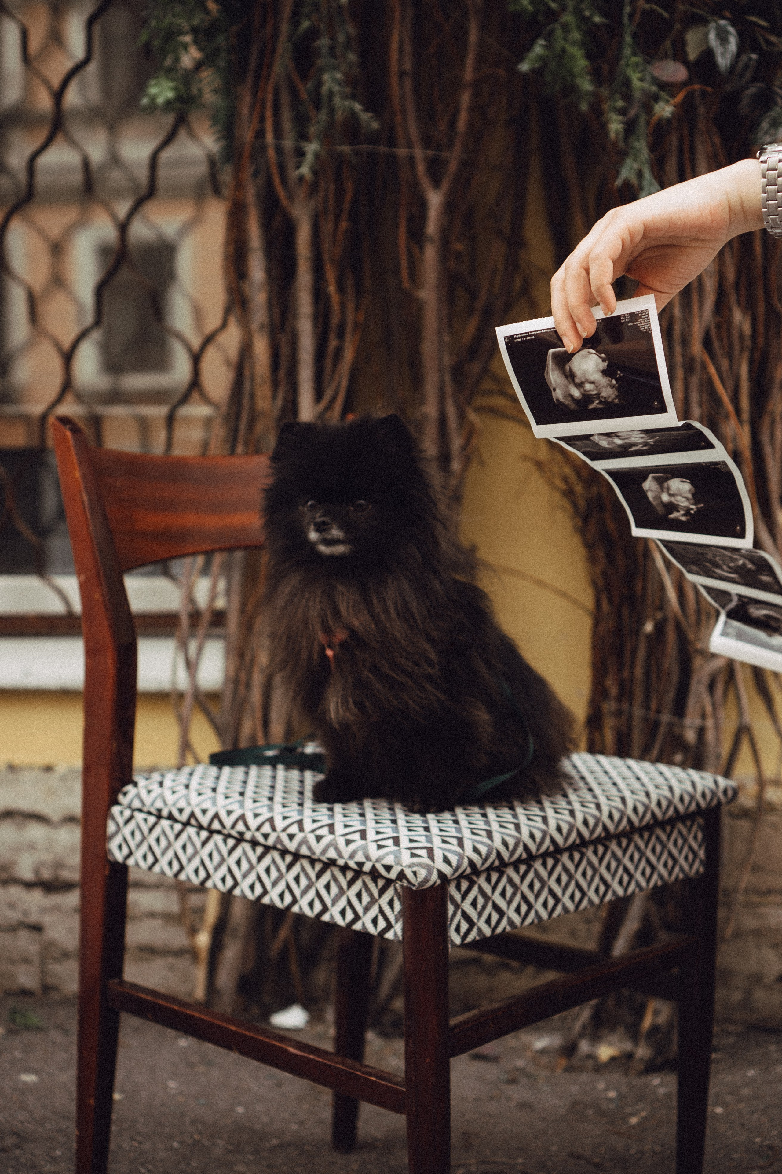 Беременность (только часть фото по желанию клиентов могу показать)). Профессиональный фотограф, Санкт-Петербург — Виктория Богомолова