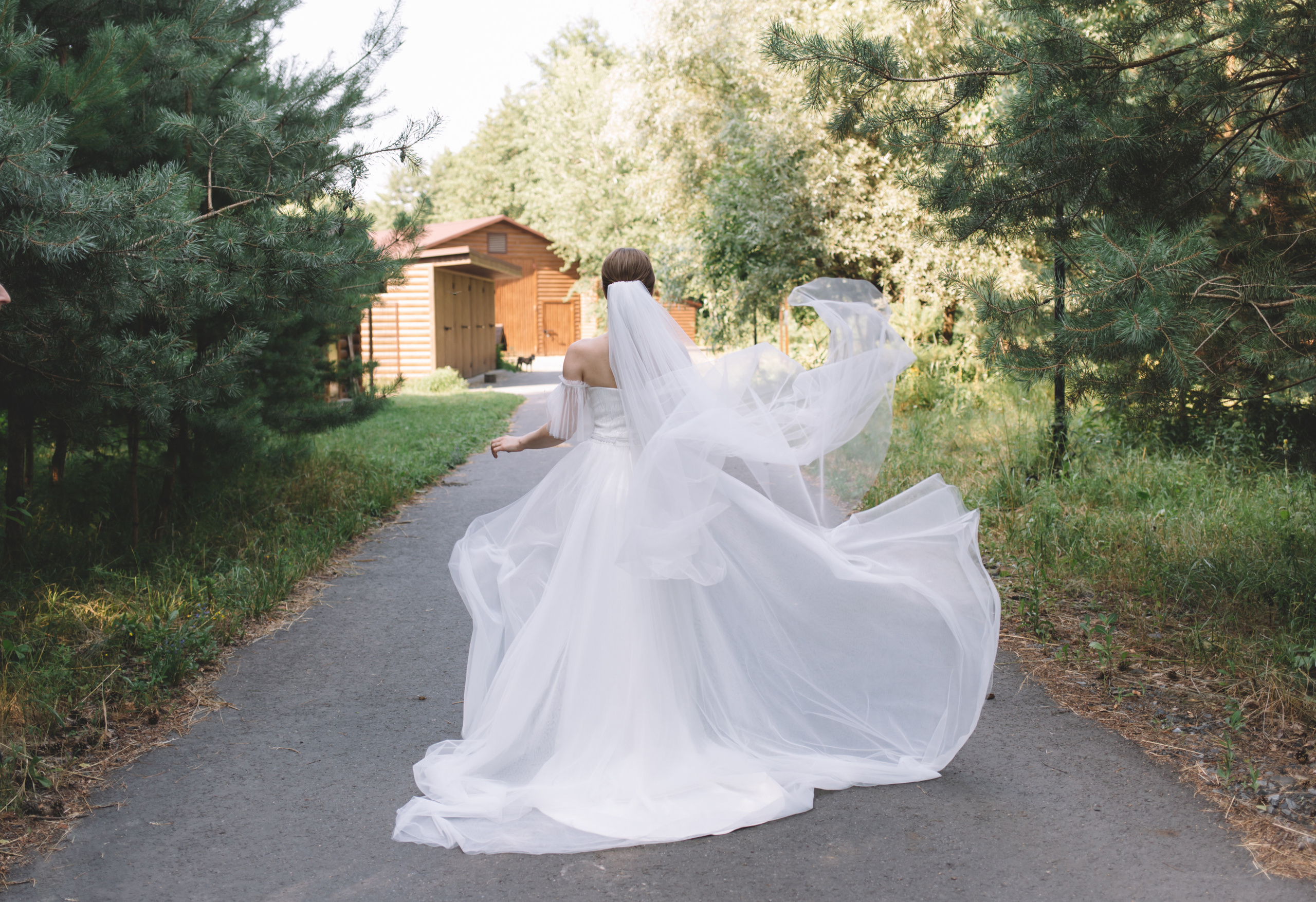 СОНЯ | ДЕНИС. Семейный фотограф Виолла Платонова Белгород