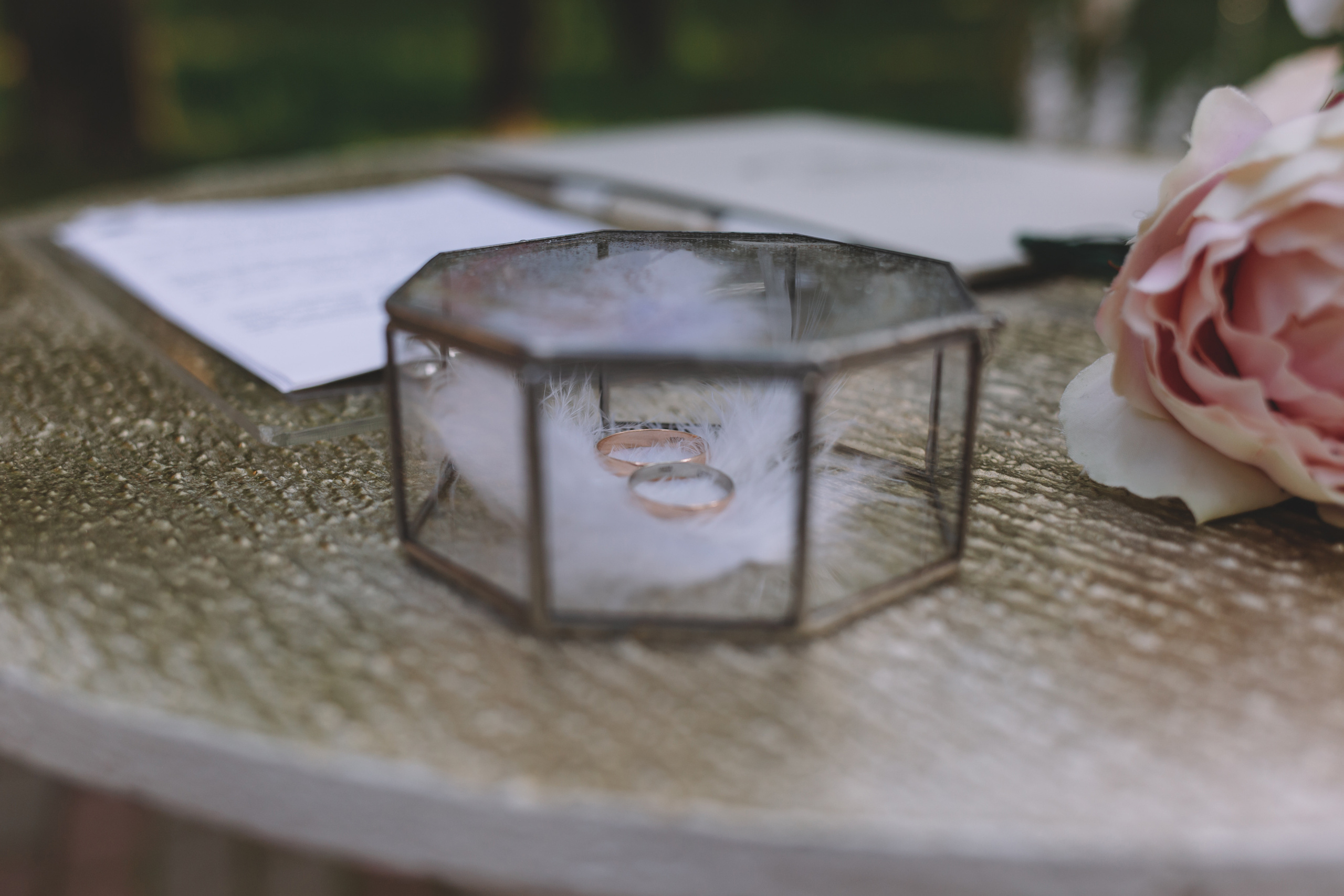 СОНЯ | ДЕНИС. Семейный фотограф Виолла Платонова Белгород