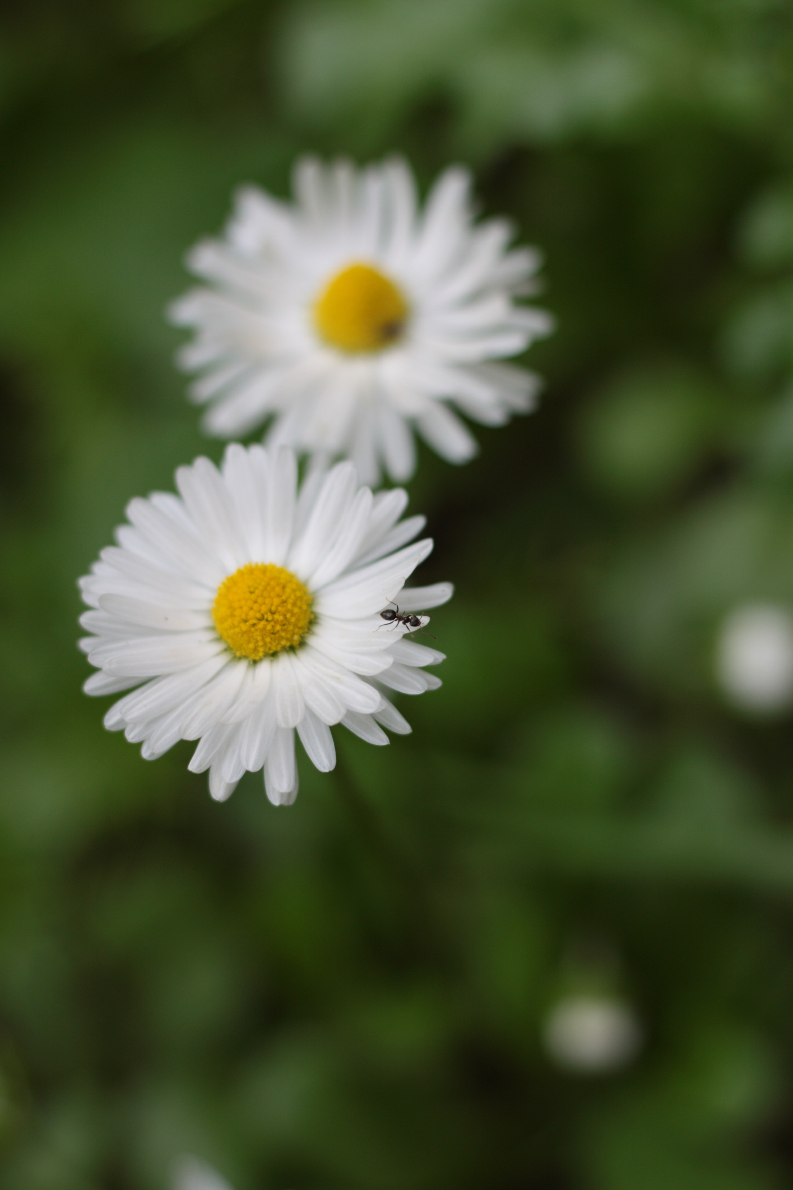 Старое природное, отбирала Katamount (Катерина Горохова). Главная