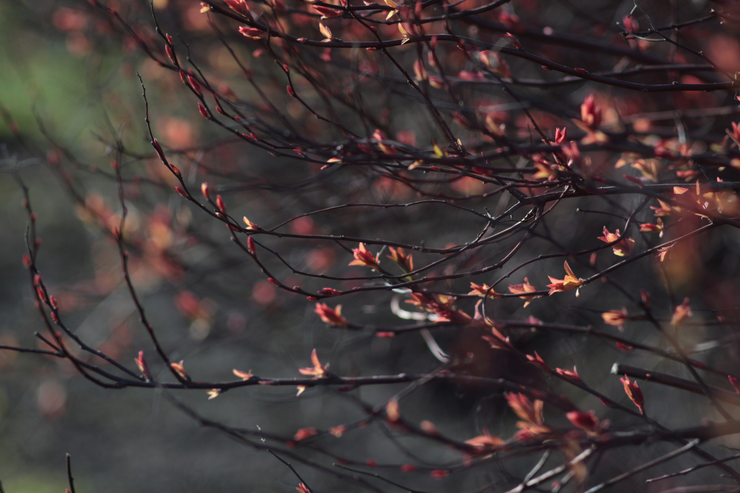 Старое природное, отбирала Katamount (Катерина Горохова). Главная