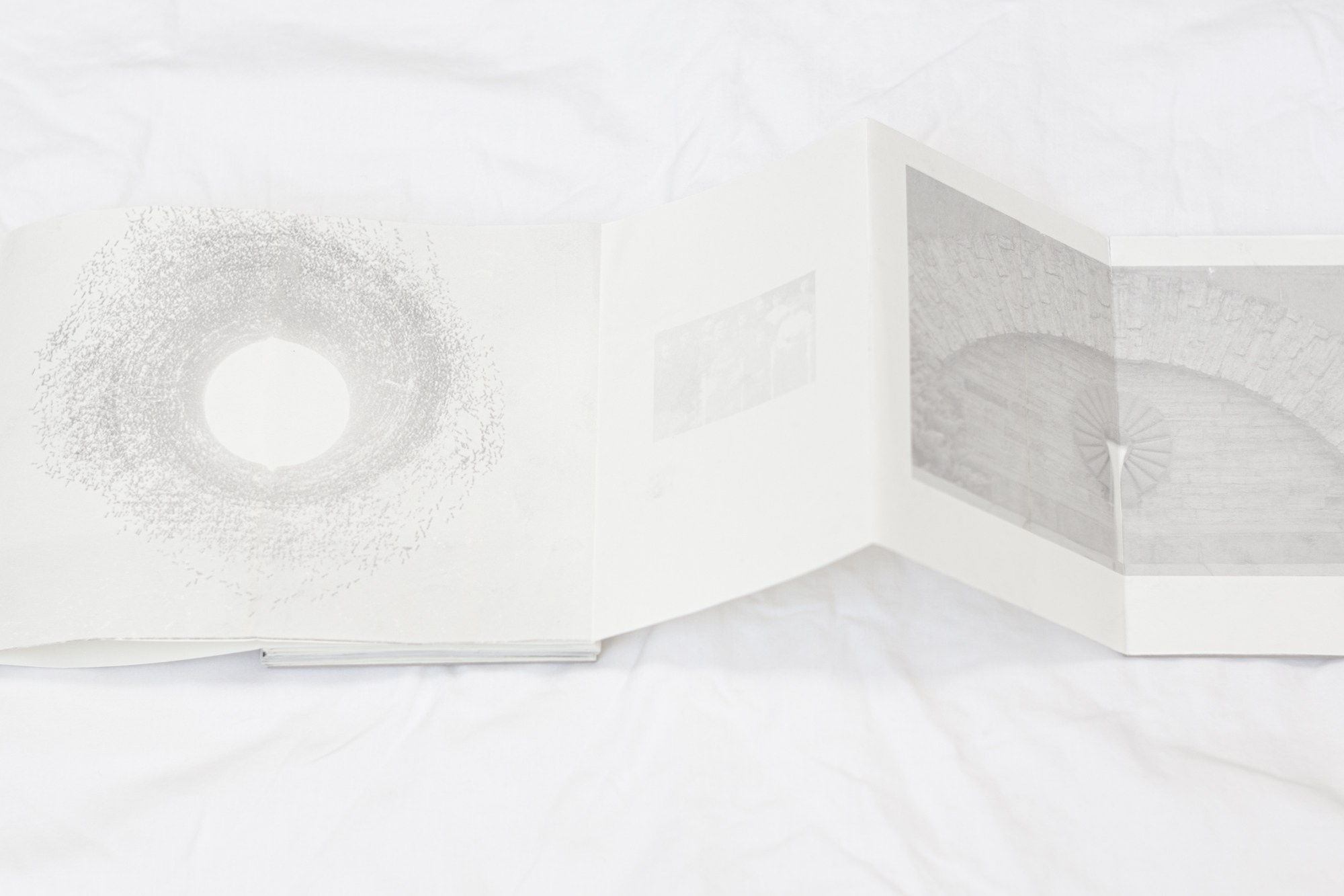 Ultima Thule. Ася Бобрицкая — мультидисциплинарый художник