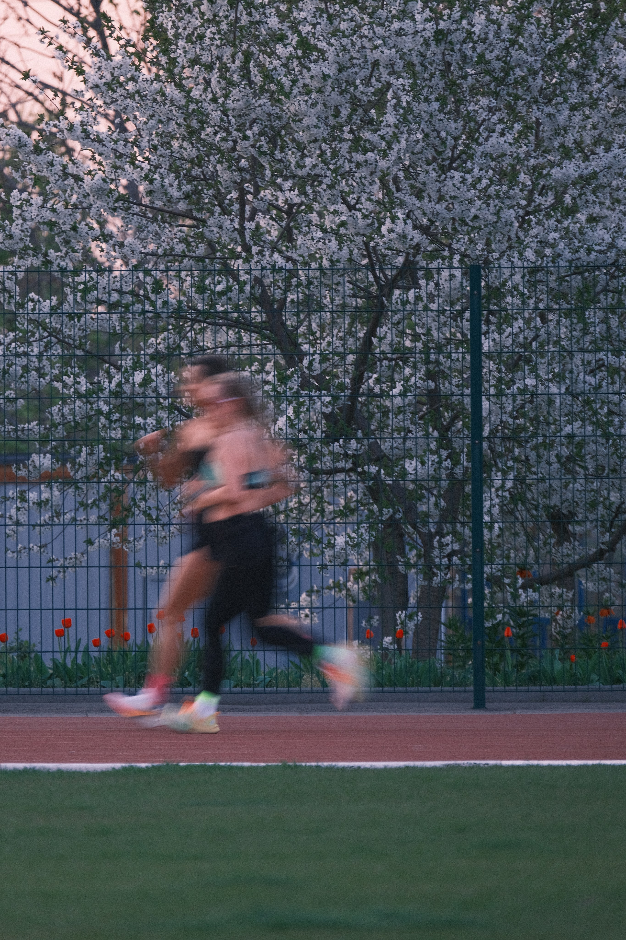 Атлетика. Спортивный фотограф в Ростове-на-Дону Сергей Реусин