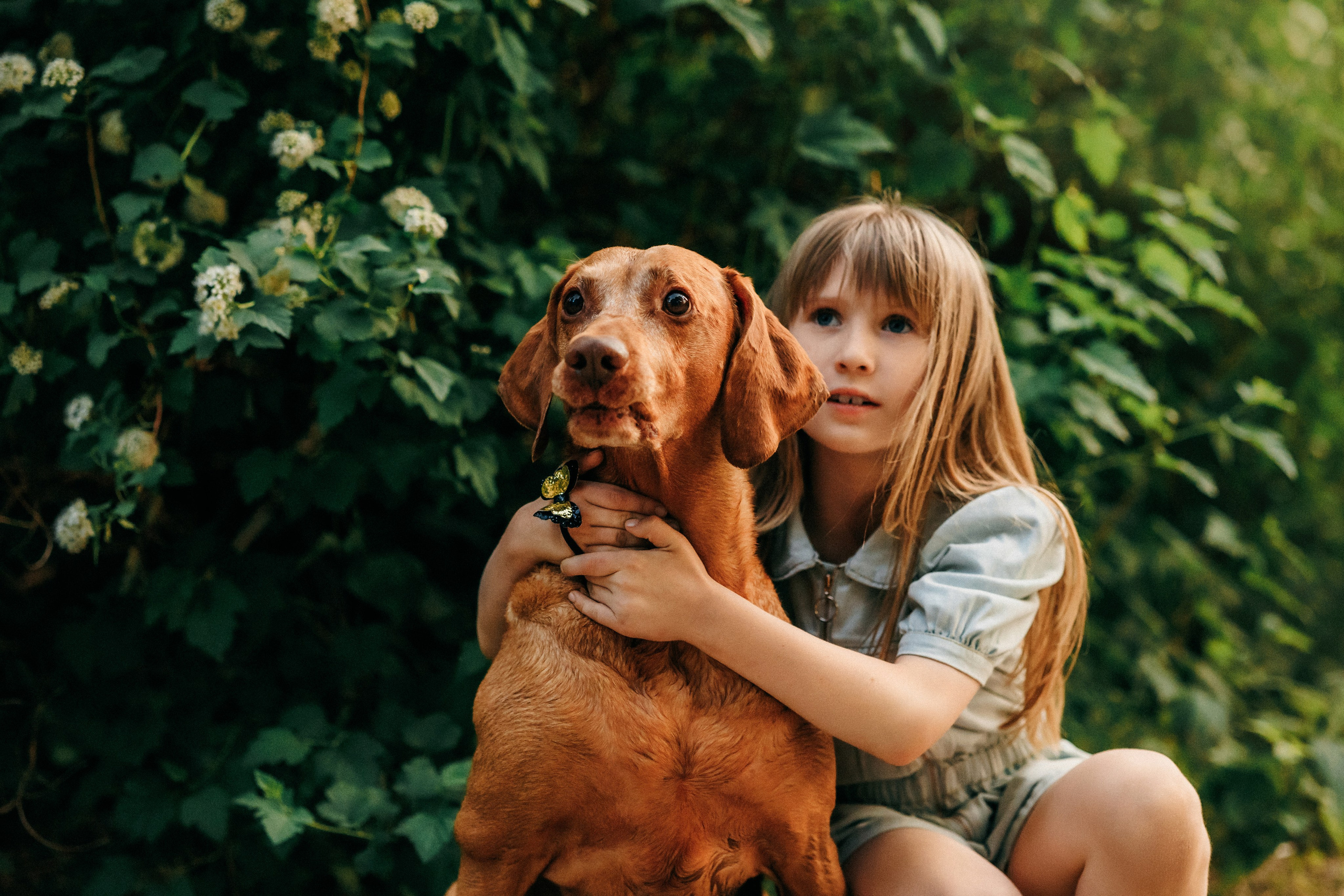 Марина, Глеб, Мая и Чили. Фотограф-анималист Елена Радченко, Москва