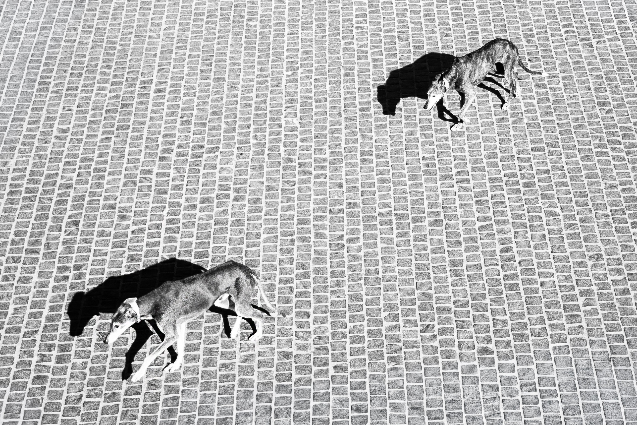 STREET PHOTOGRAPHY. Photographer in Budapest  — Yura Knyazev